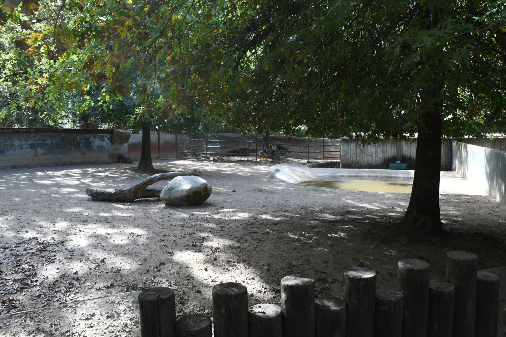 Brazilian Tapirs and Capybaras exhibit