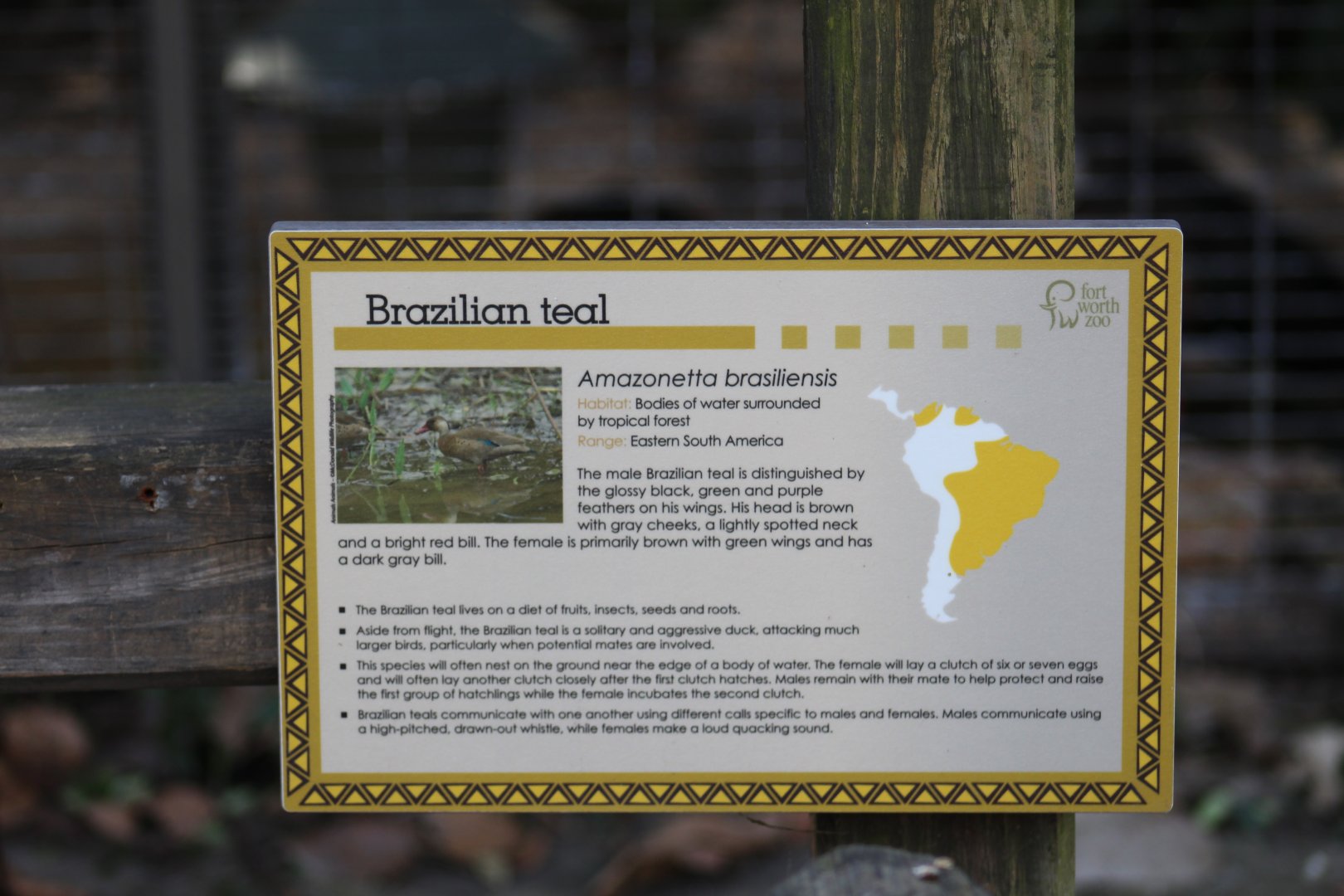 Brazilian Teal Signage