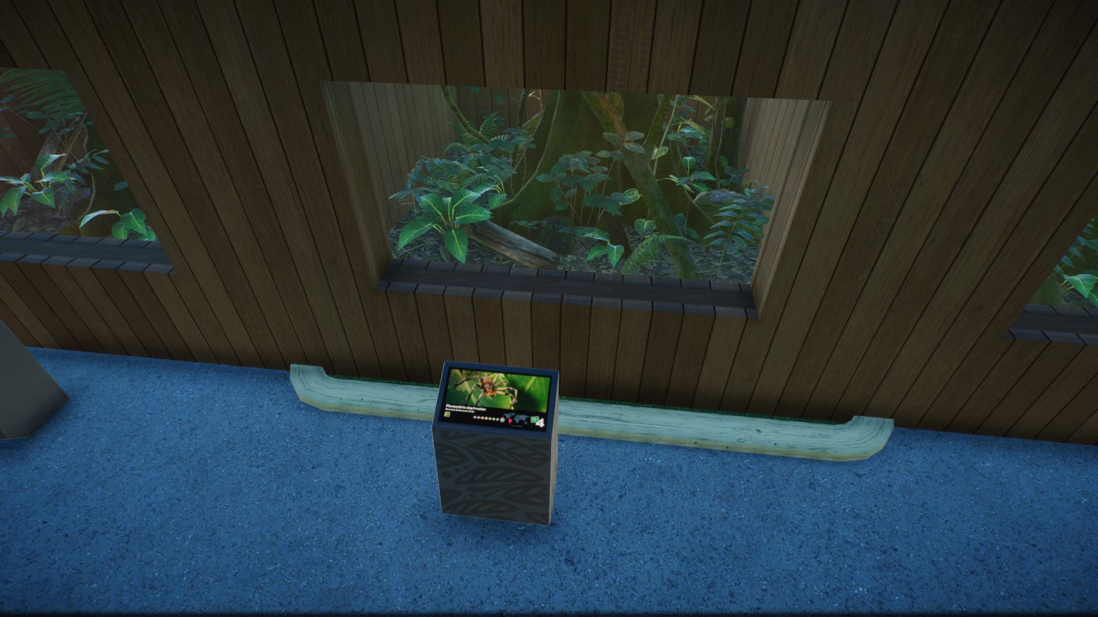 Brazilian Wandering Spider Tank