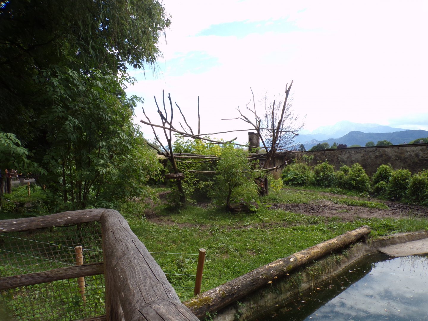 Brazillian tapir and green-winged macaw enclosure 13.7.25