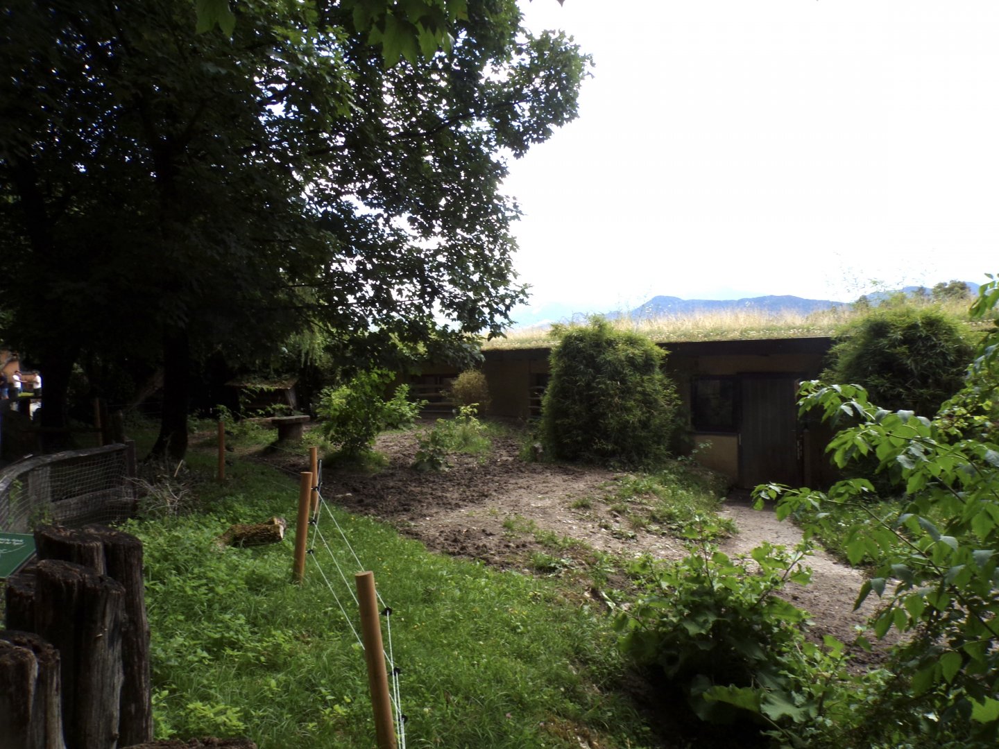 Brazillian tapir and green-winged macaw enclosure 13.7.25
