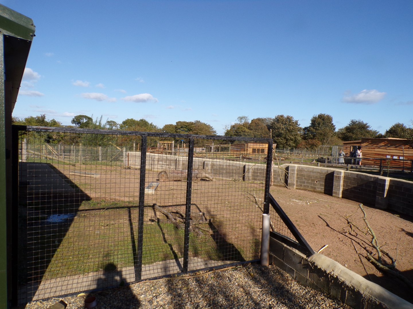Brazillian tapir & capybara enclosure hardstanding 14.10.23