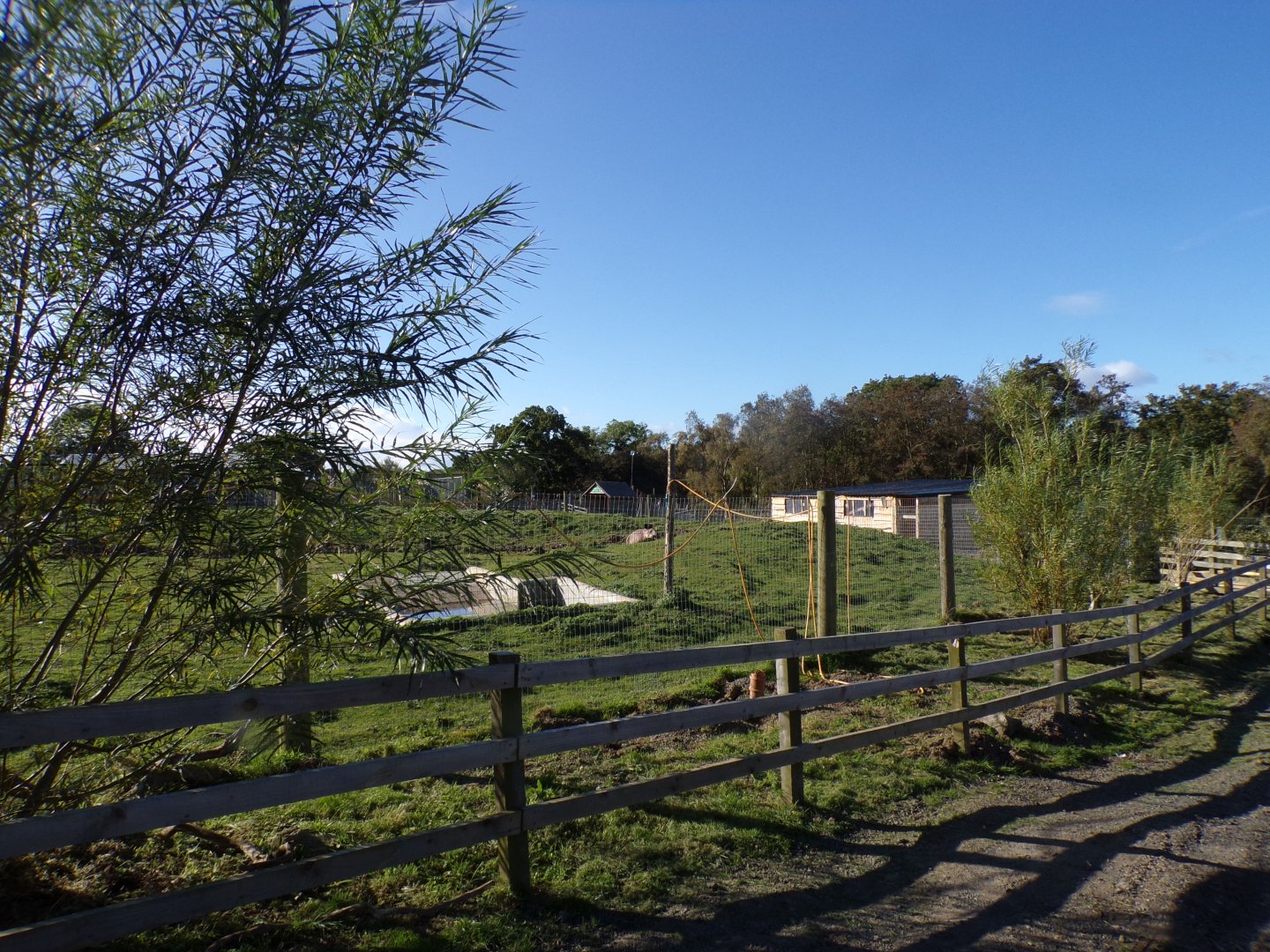 Brazillian tapir enclosure 14.10.23