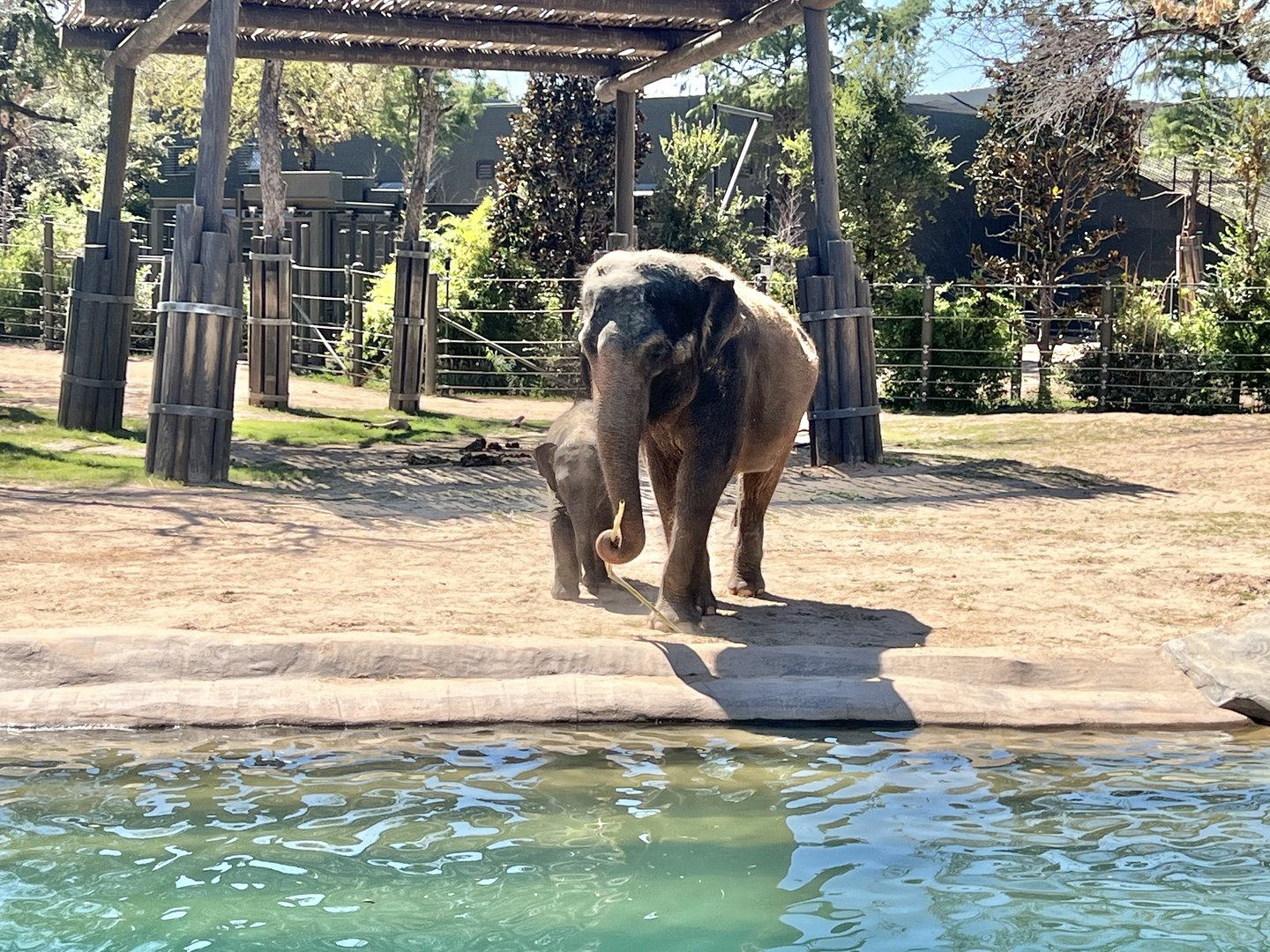 Brazos & Bluebonnet 3