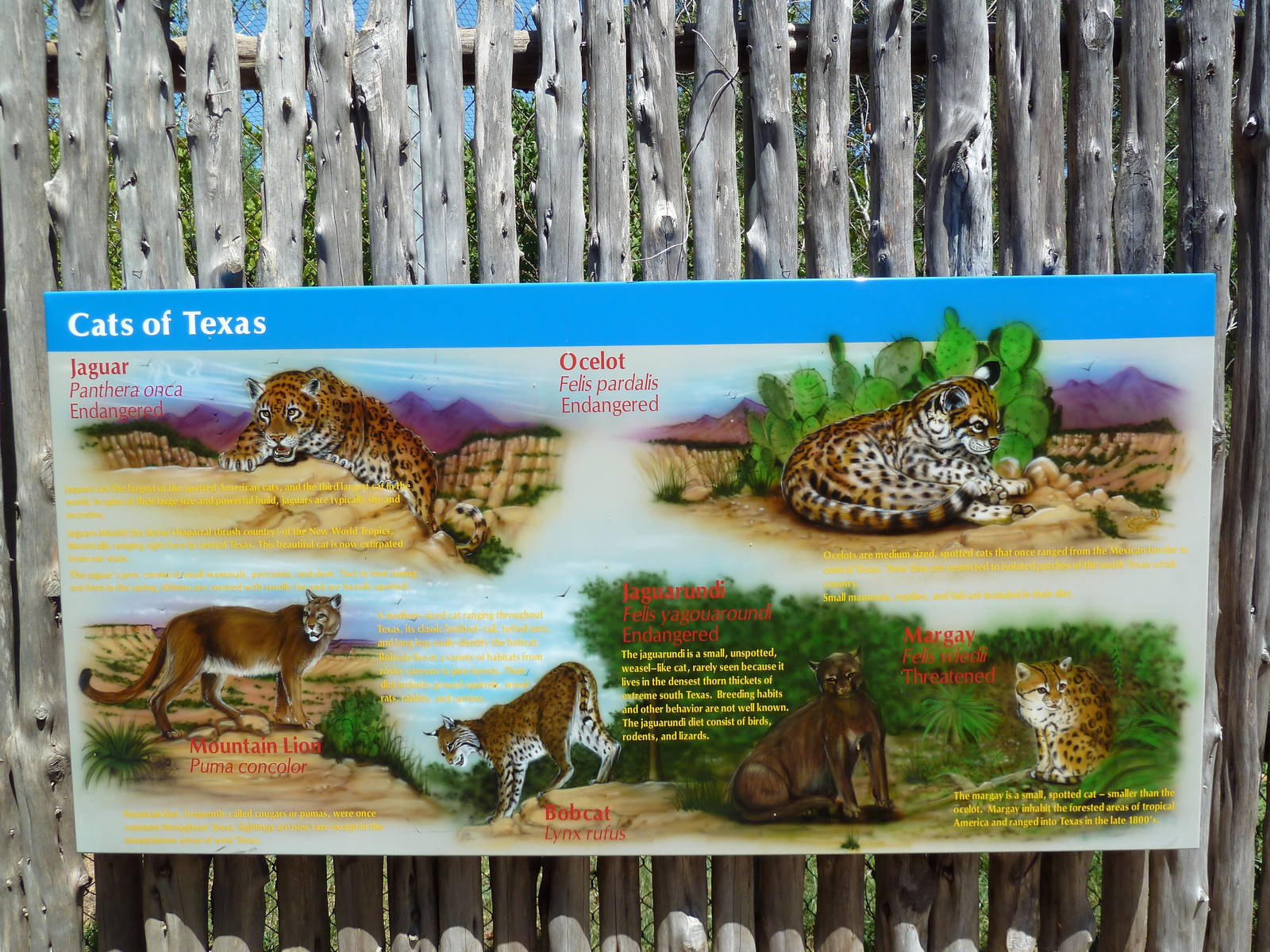 Brazos River Country - 6 Cats Of Texas Sign