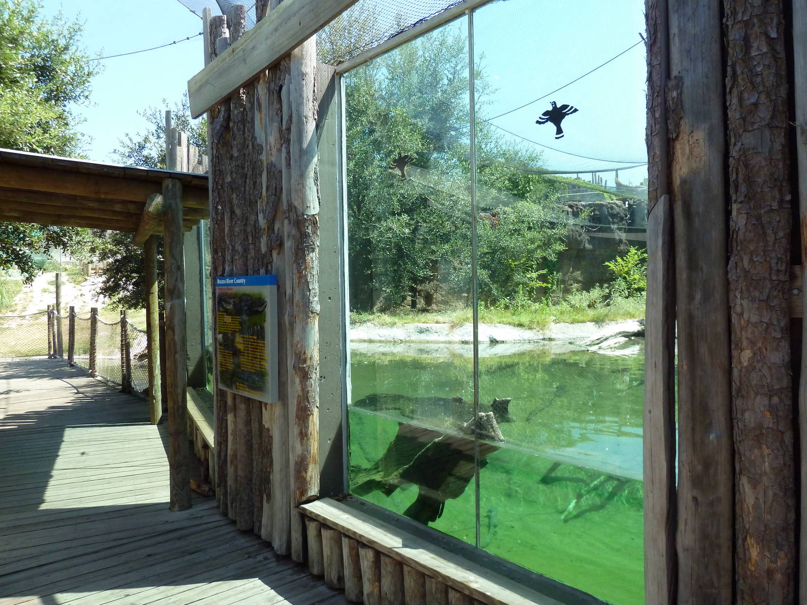 Brazos River Country - Alligator Exhibit