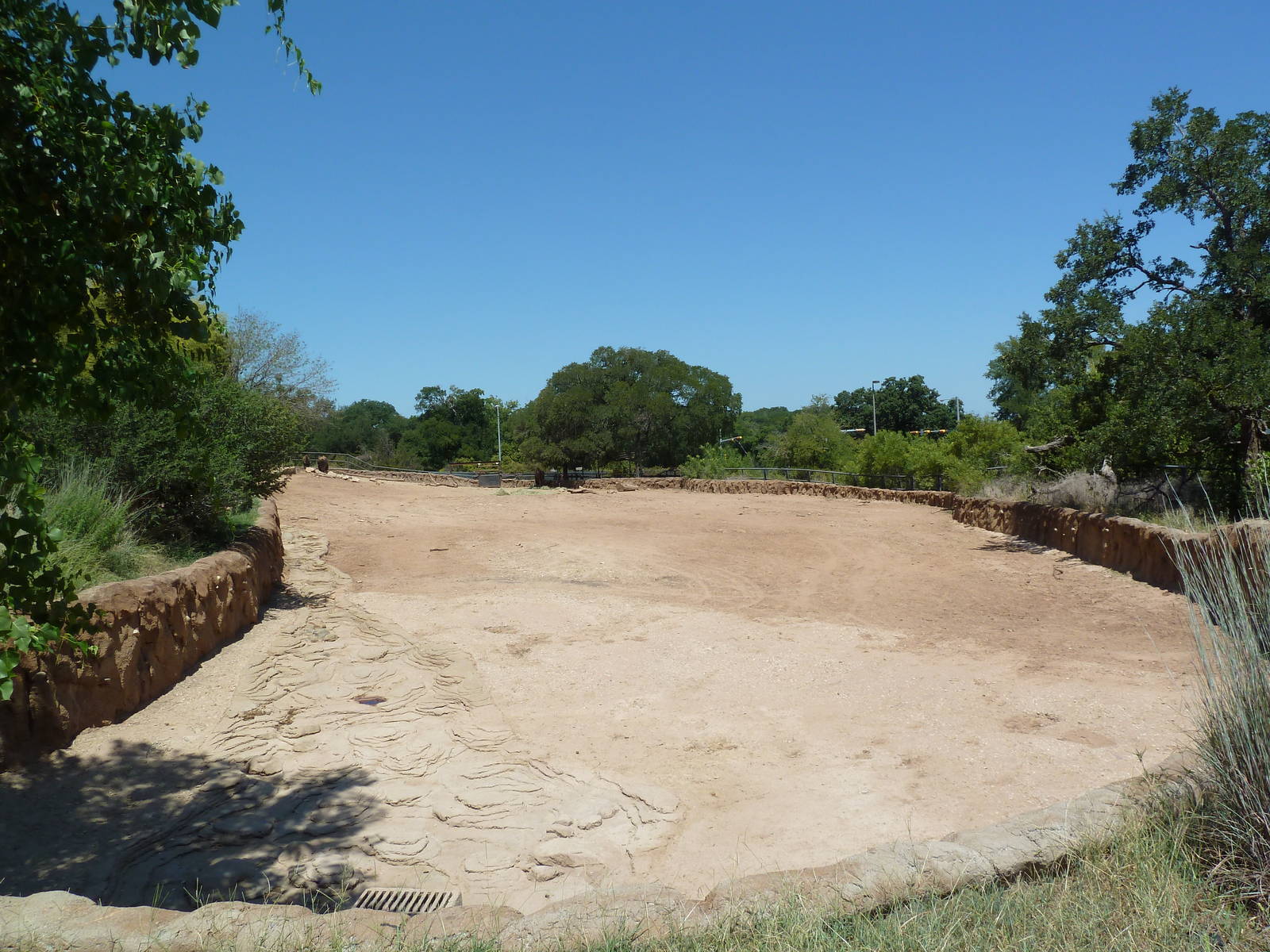 Brazos River Country - Bison Exhibit