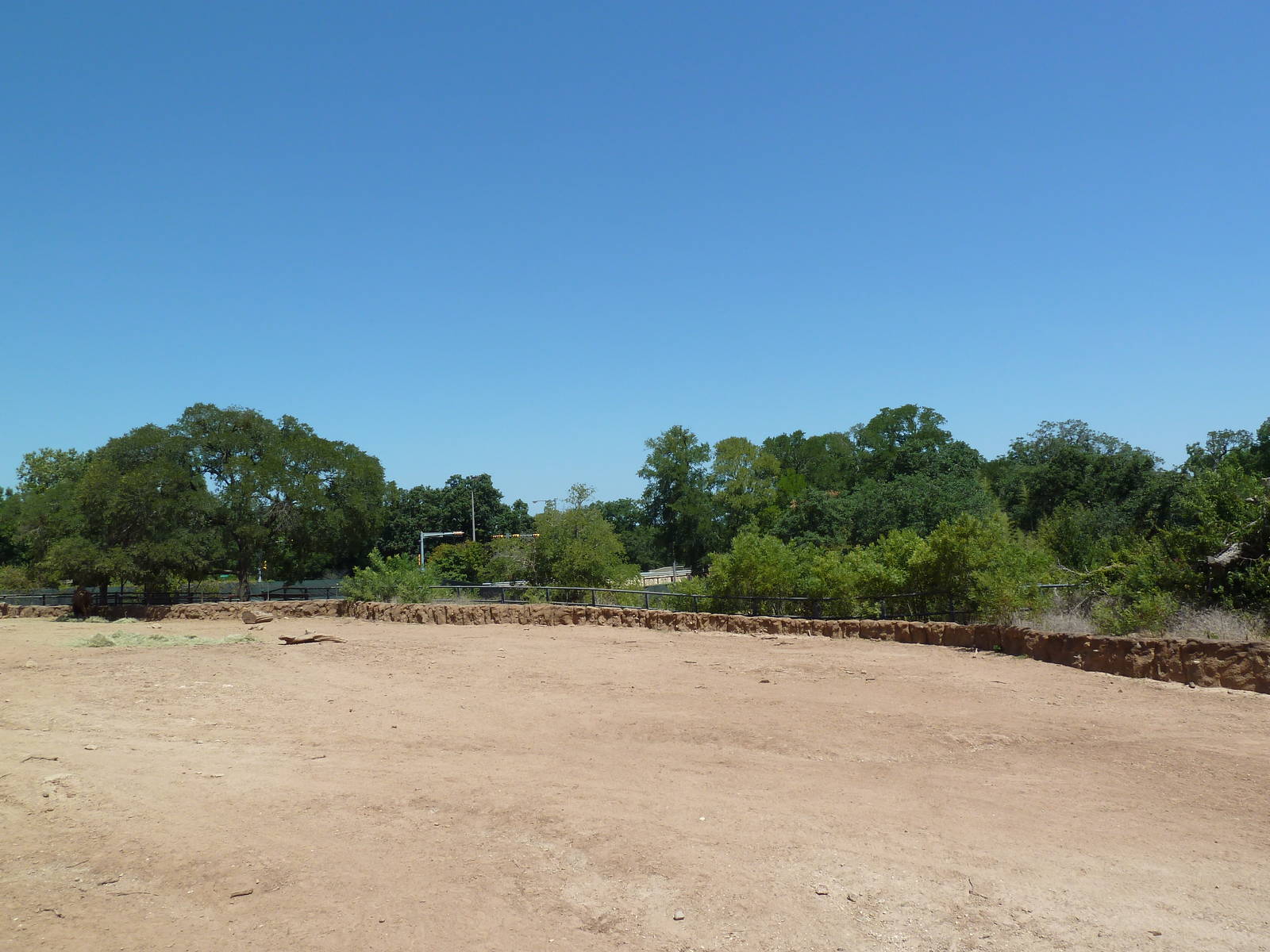 Brazos River Country - Bison Exhibit