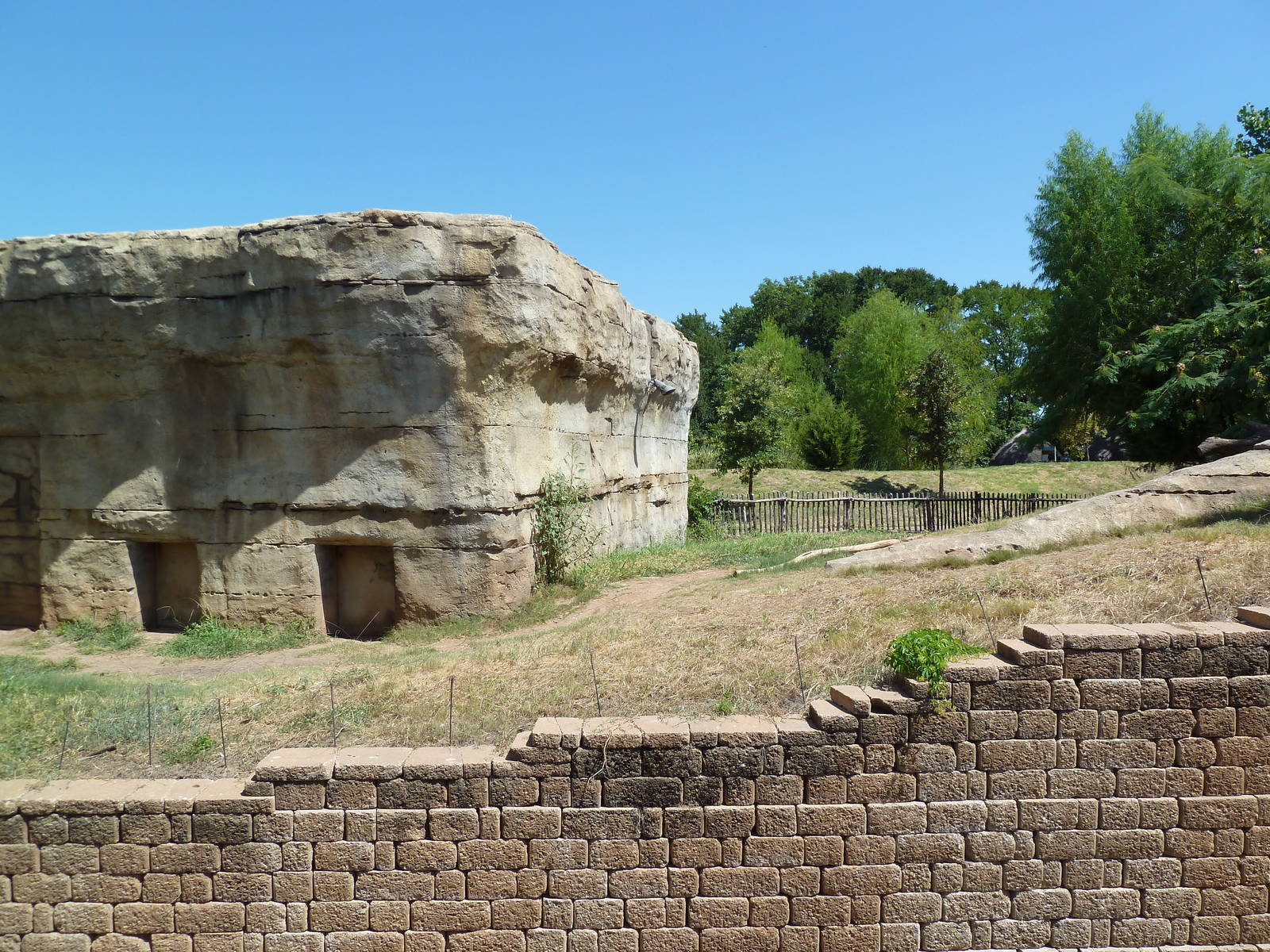 Brazos River Country - Black Bear Exhibit