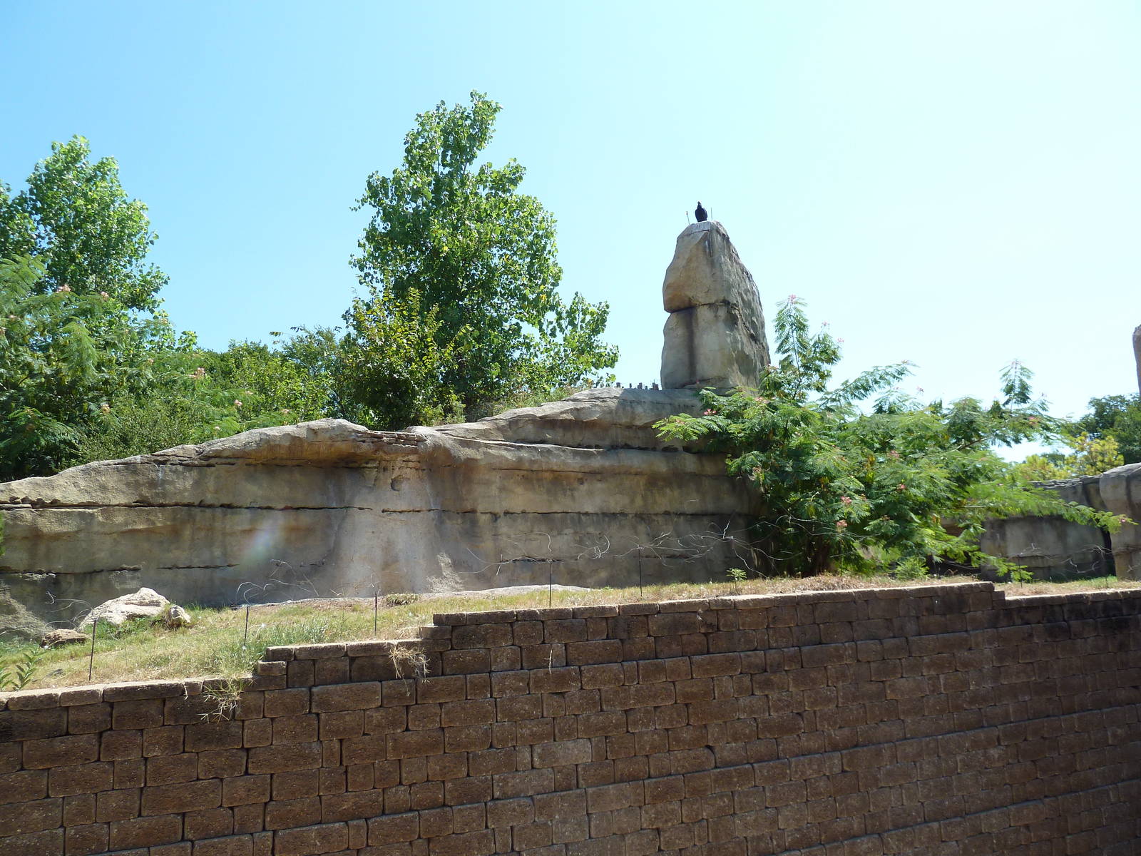 Brazos River Country - Black Bear Exhibit