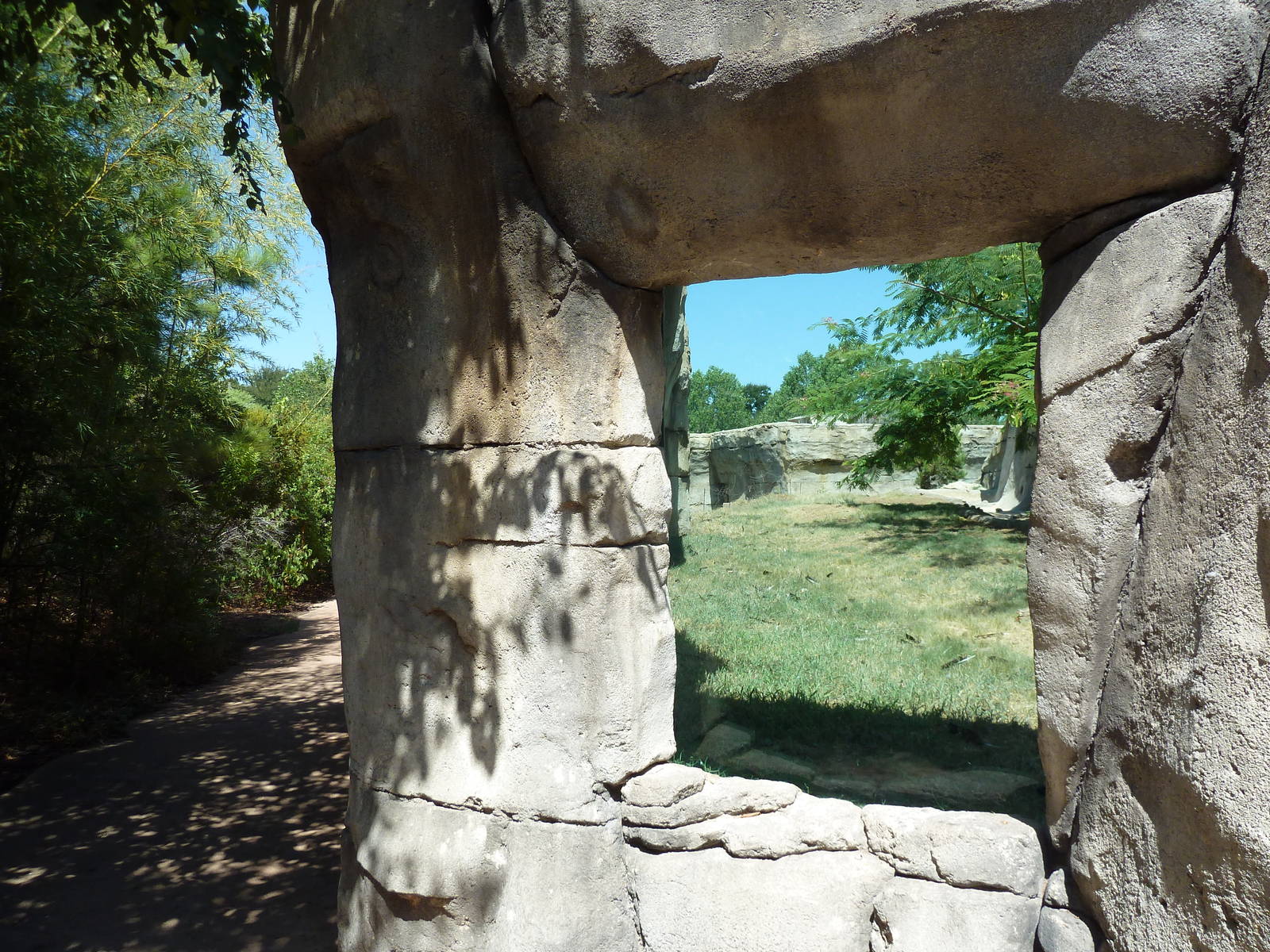 Brazos River Country - Black Bear Exhibit