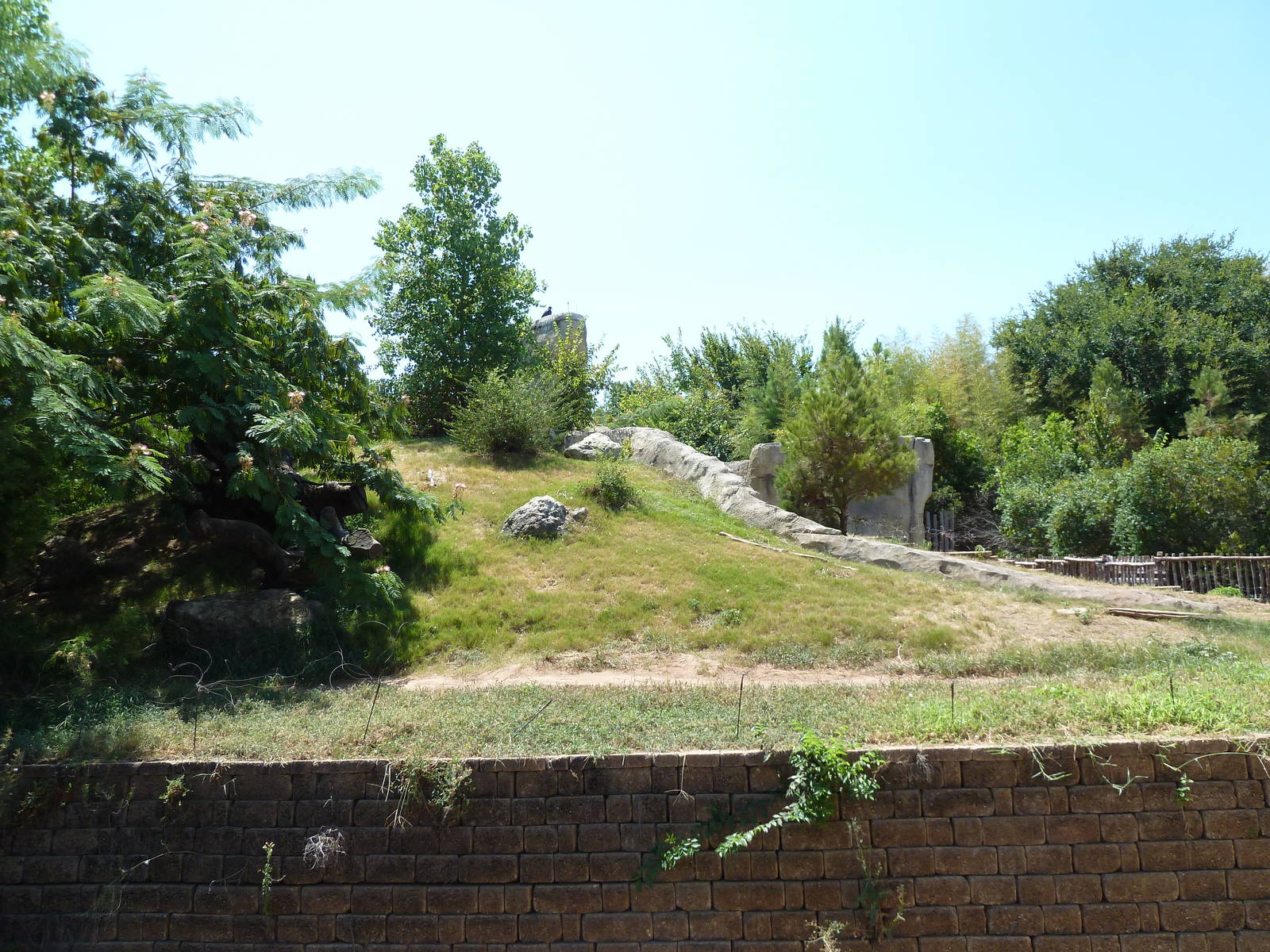 Brazos River Country - Black Bear Exhibit