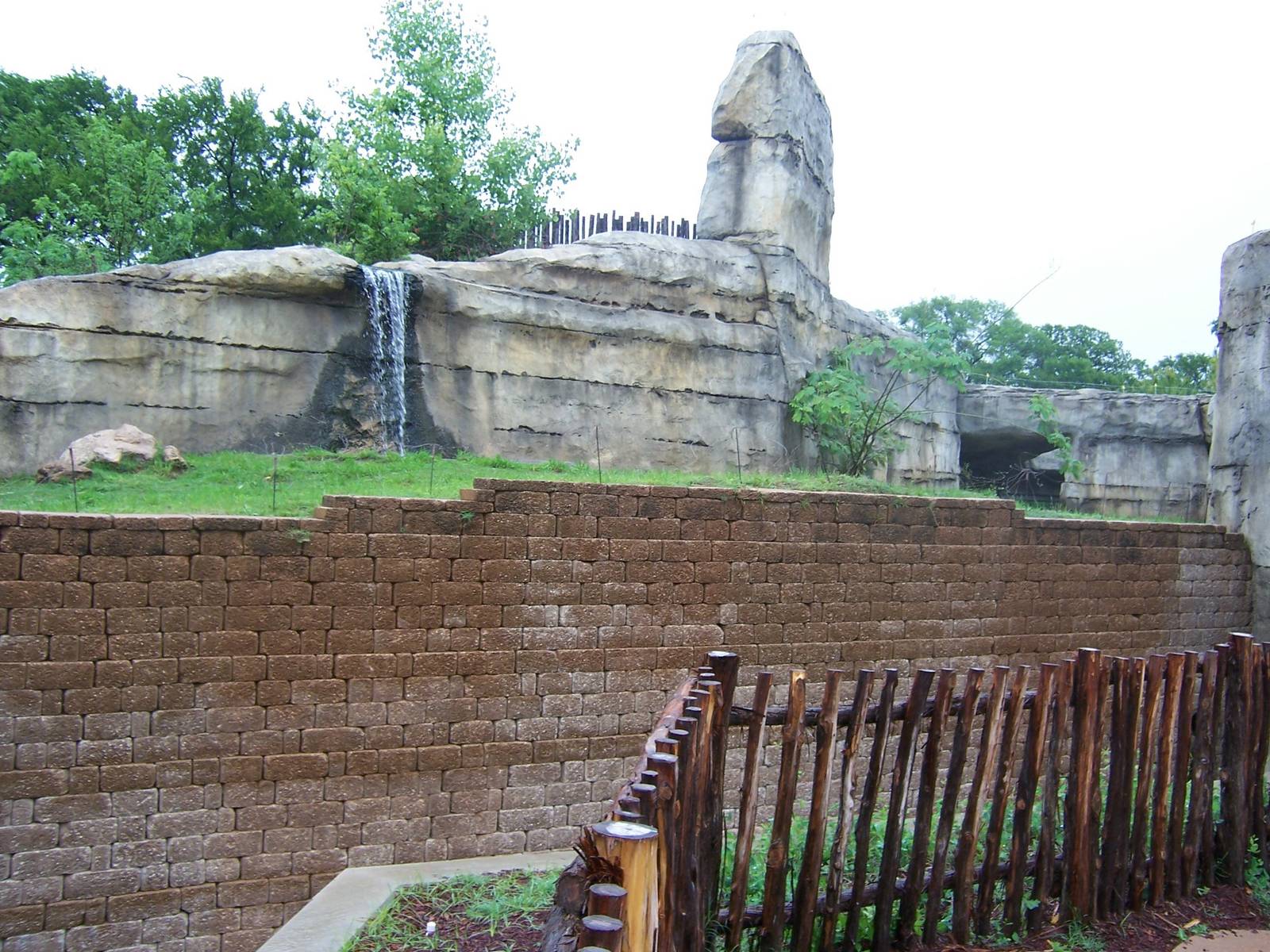 Brazos River Country - Black Bears