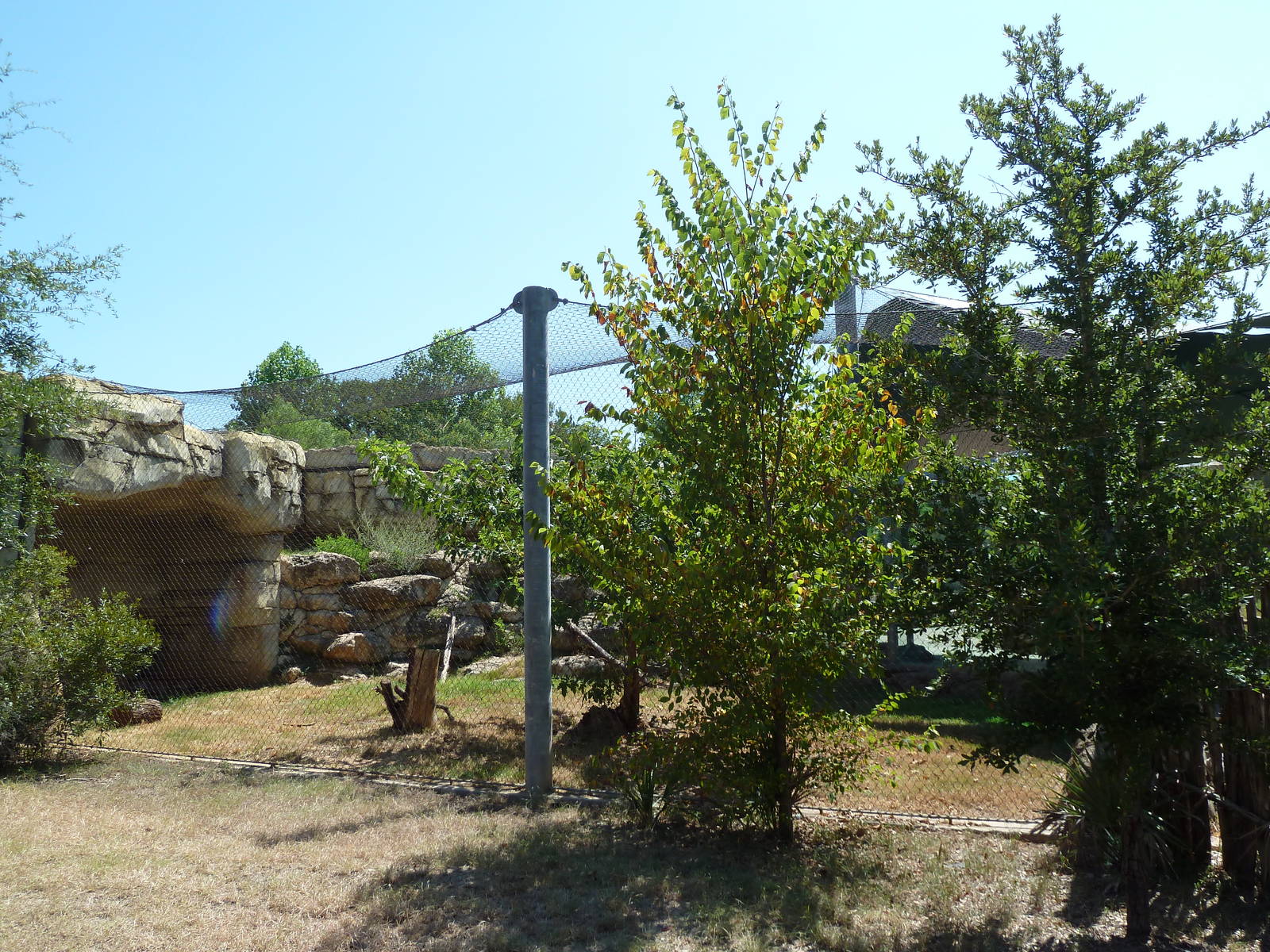 Brazos River Country - Cougar Exhibit