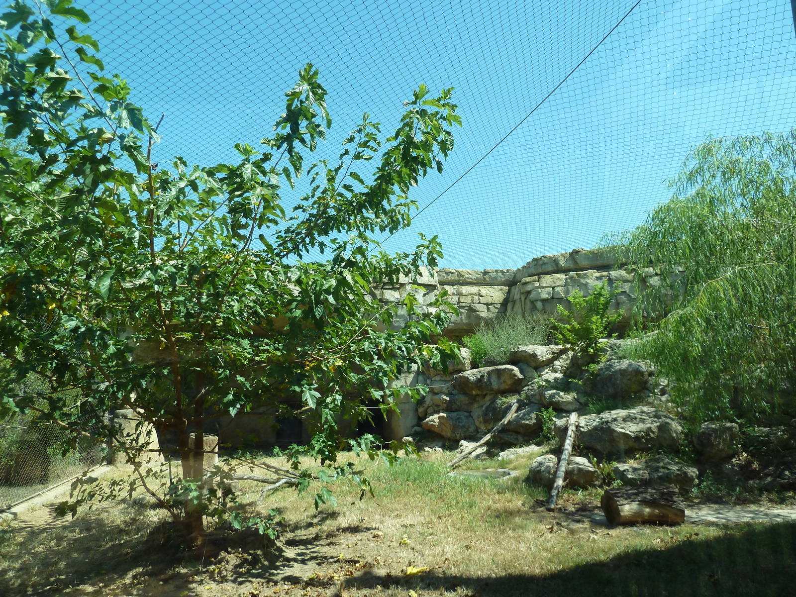 Brazos River Country - Cougar Exhibit