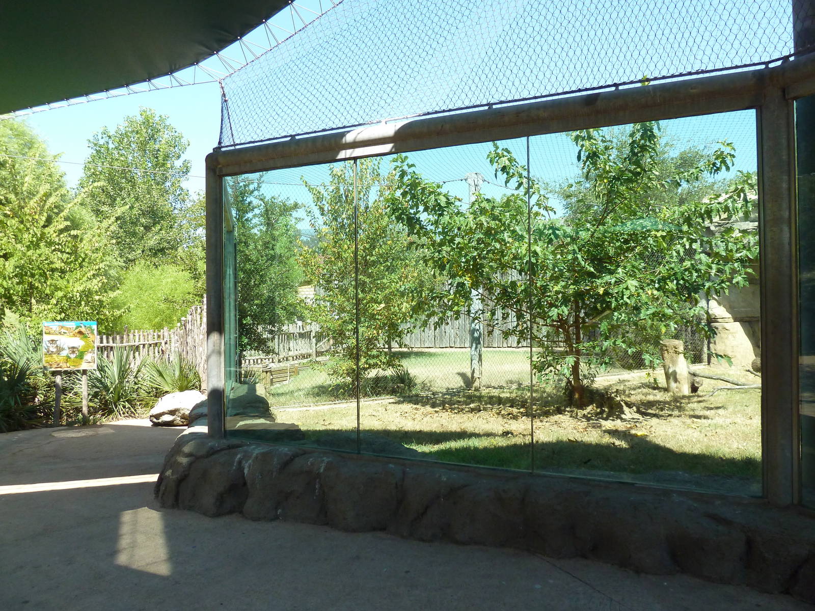 Brazos River Country - Cougar Exhibit