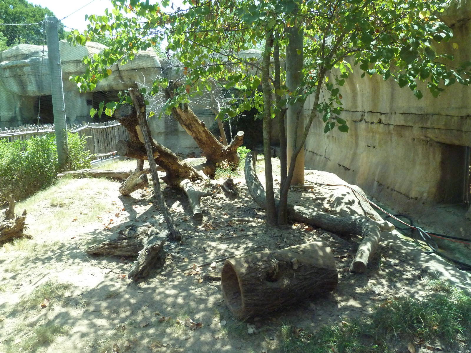Brazos River Country - Coyote Exhibit
