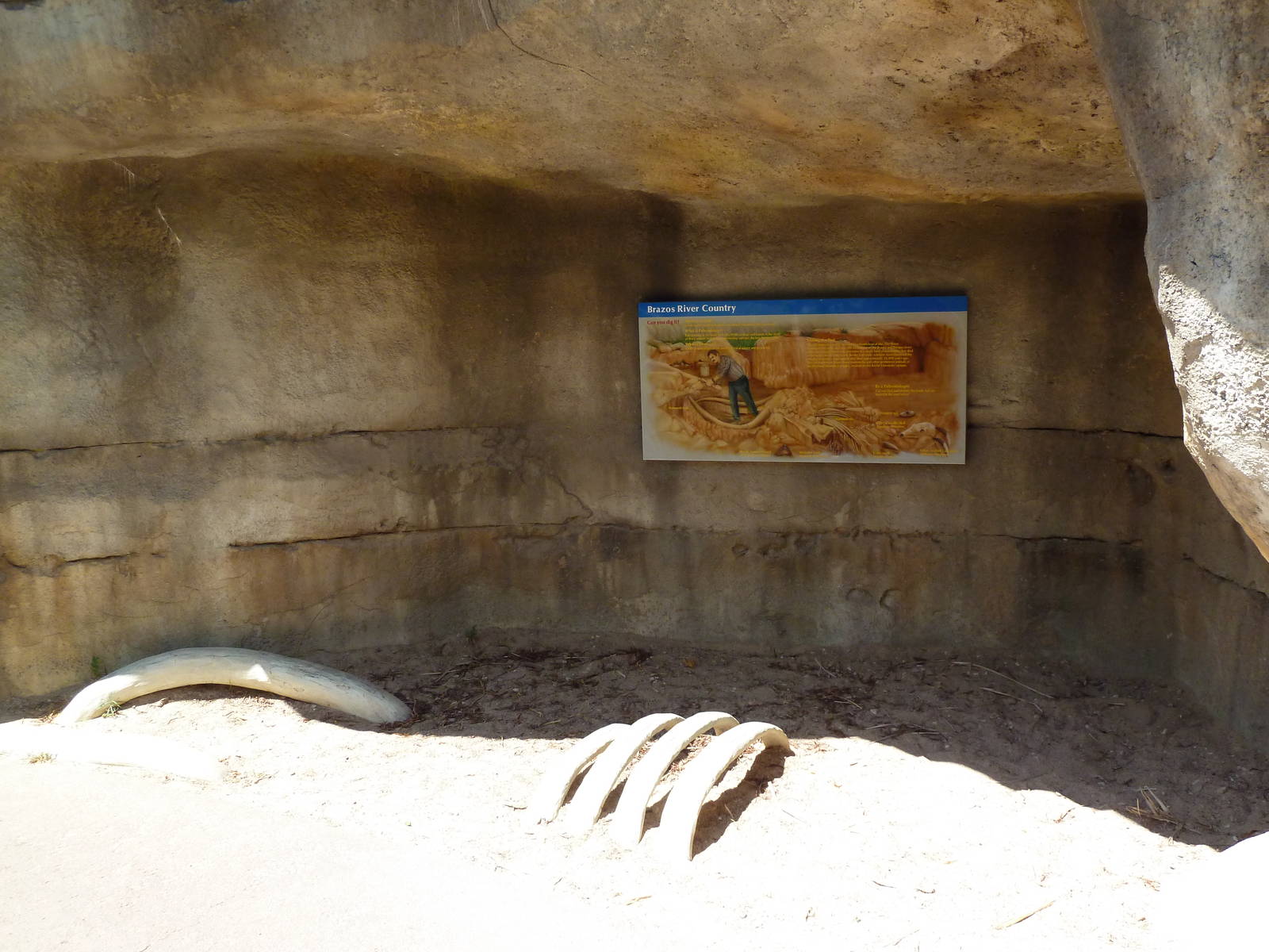 Brazos River Country - Fossil Dig Site