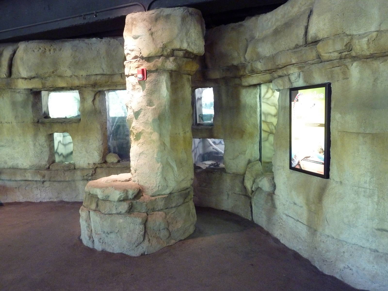 Brazos River Country - Fresh Water Aquarium/Terrarium Building