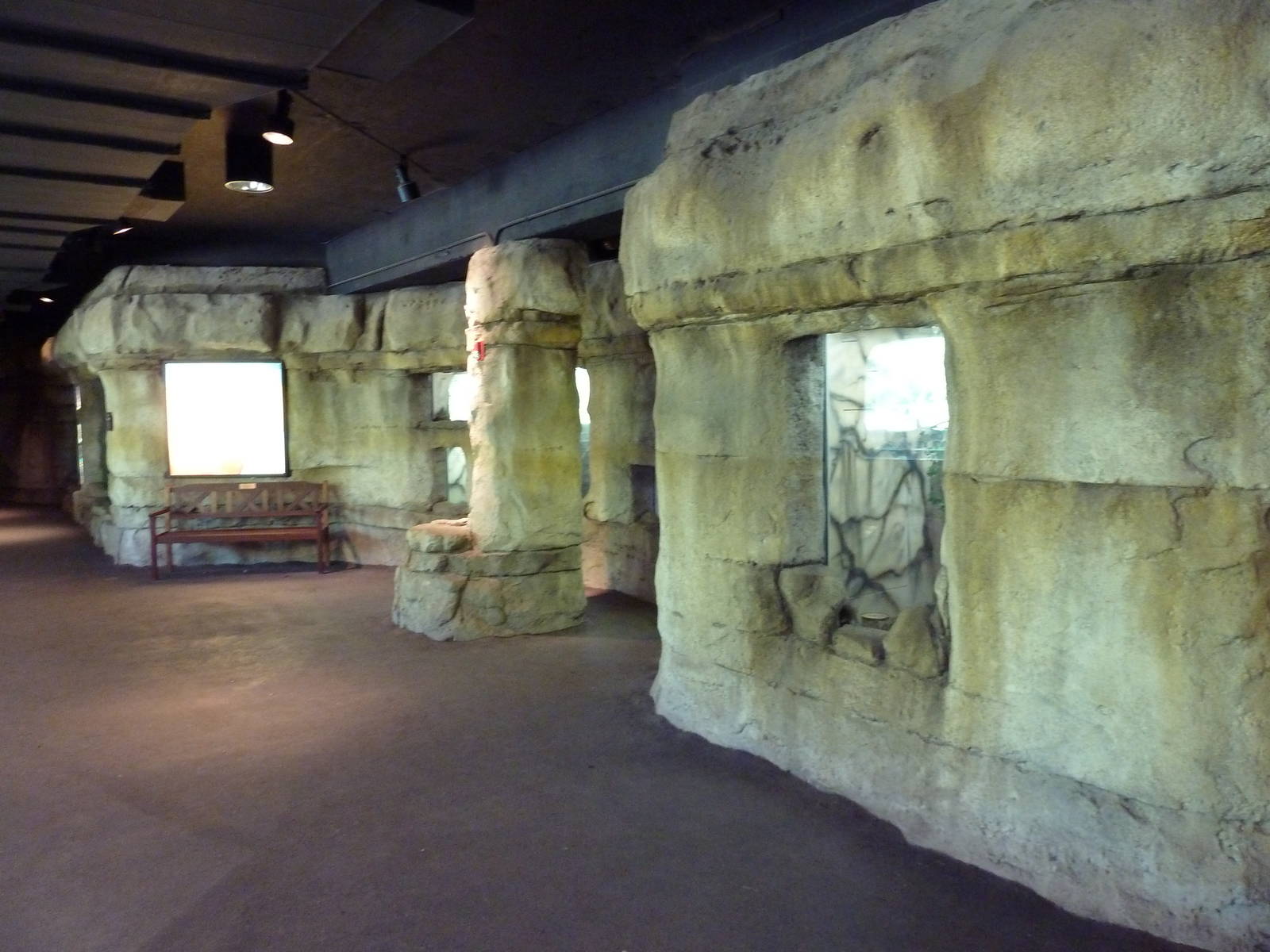 Brazos River Country - Fresh Water Aquarium/Terrarium Building