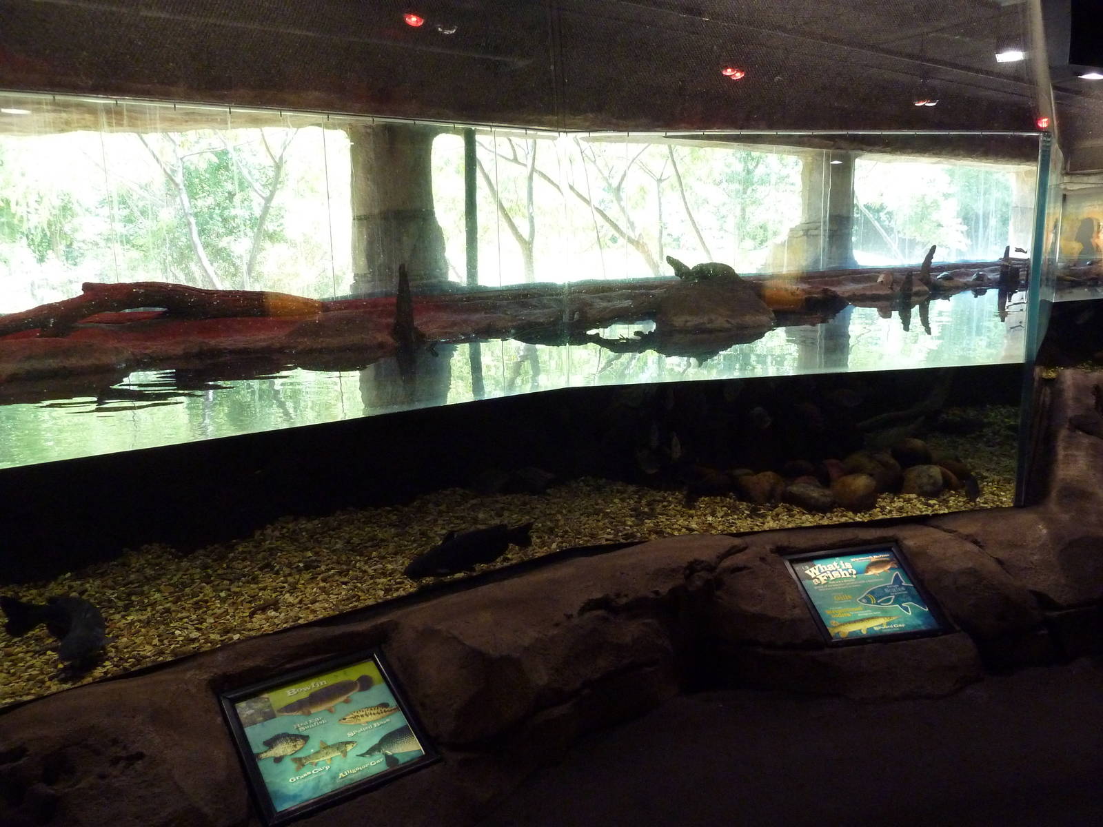 Brazos River Country - Fresh Water Aquarium/Terrarium Building