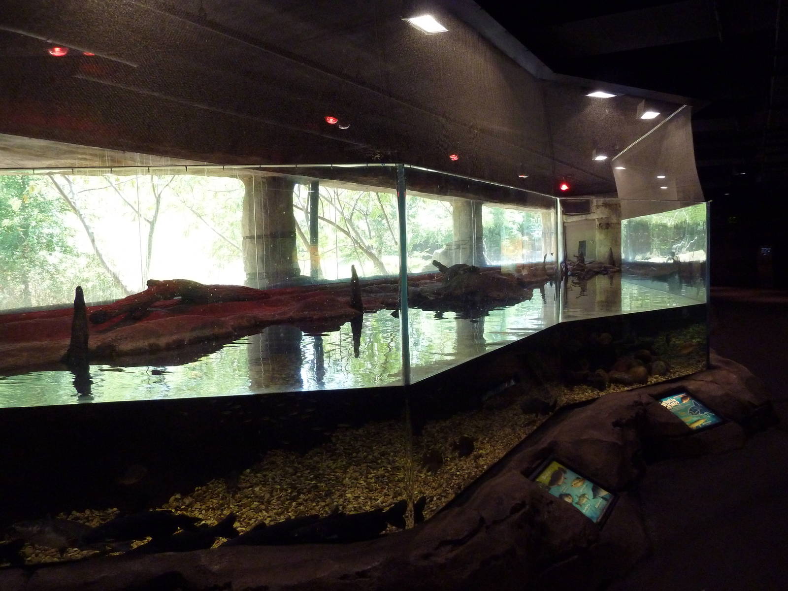 Brazos River Country - Fresh Water Aquarium/Terrarium Building