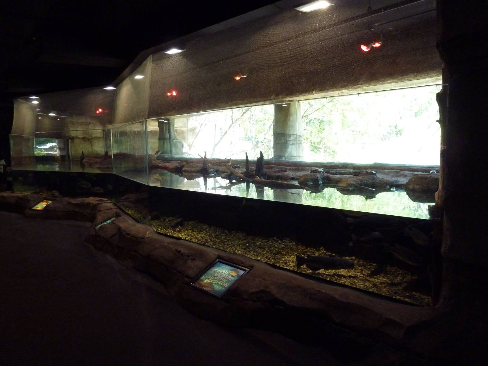 Brazos River Country - Fresh Water Aquarium/Terrarium Building