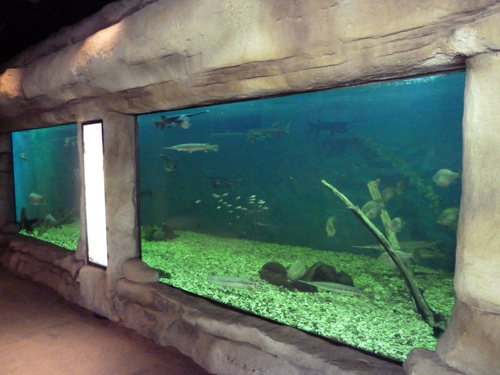 Brazos River Country - Fresh Water Aquarium/Terrarium Building