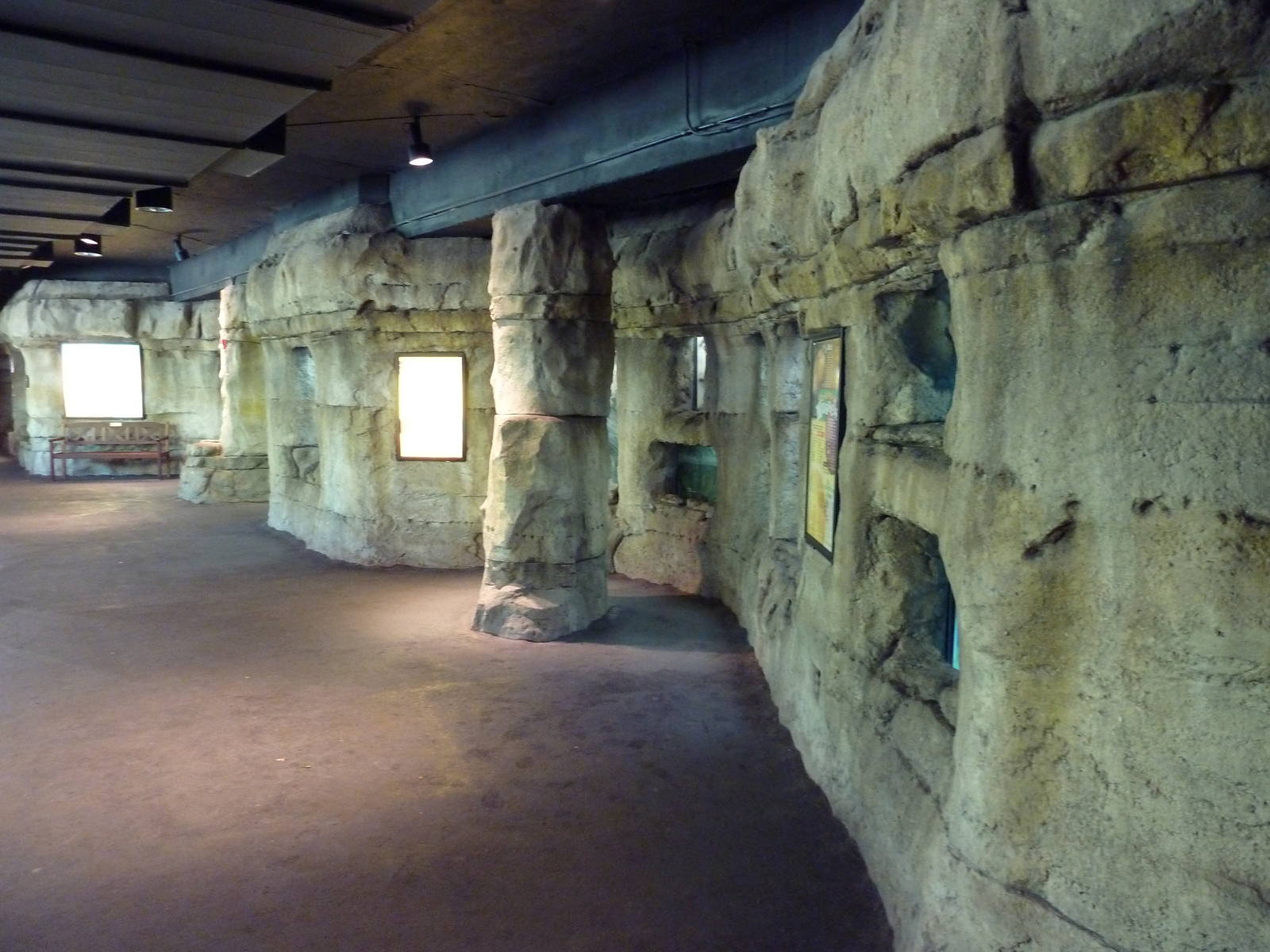 Brazos River Country - Fresh Water Aquarium/Terrarium Building