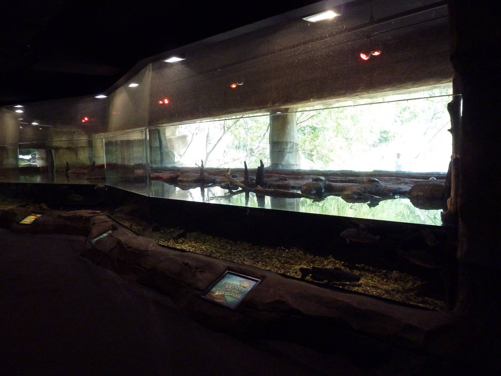 Brazos River Country - Fresh Water Aquarium/Terrarium Building