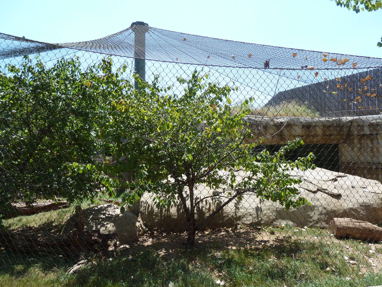Brazos River Country - Jaguar Exhibit