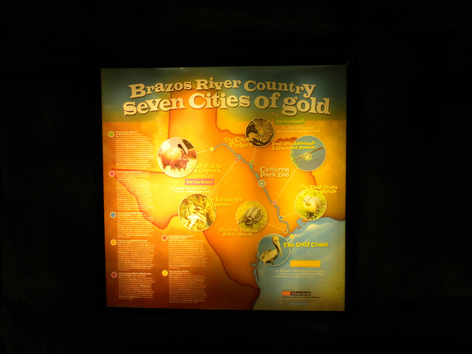 Brazos River Country map