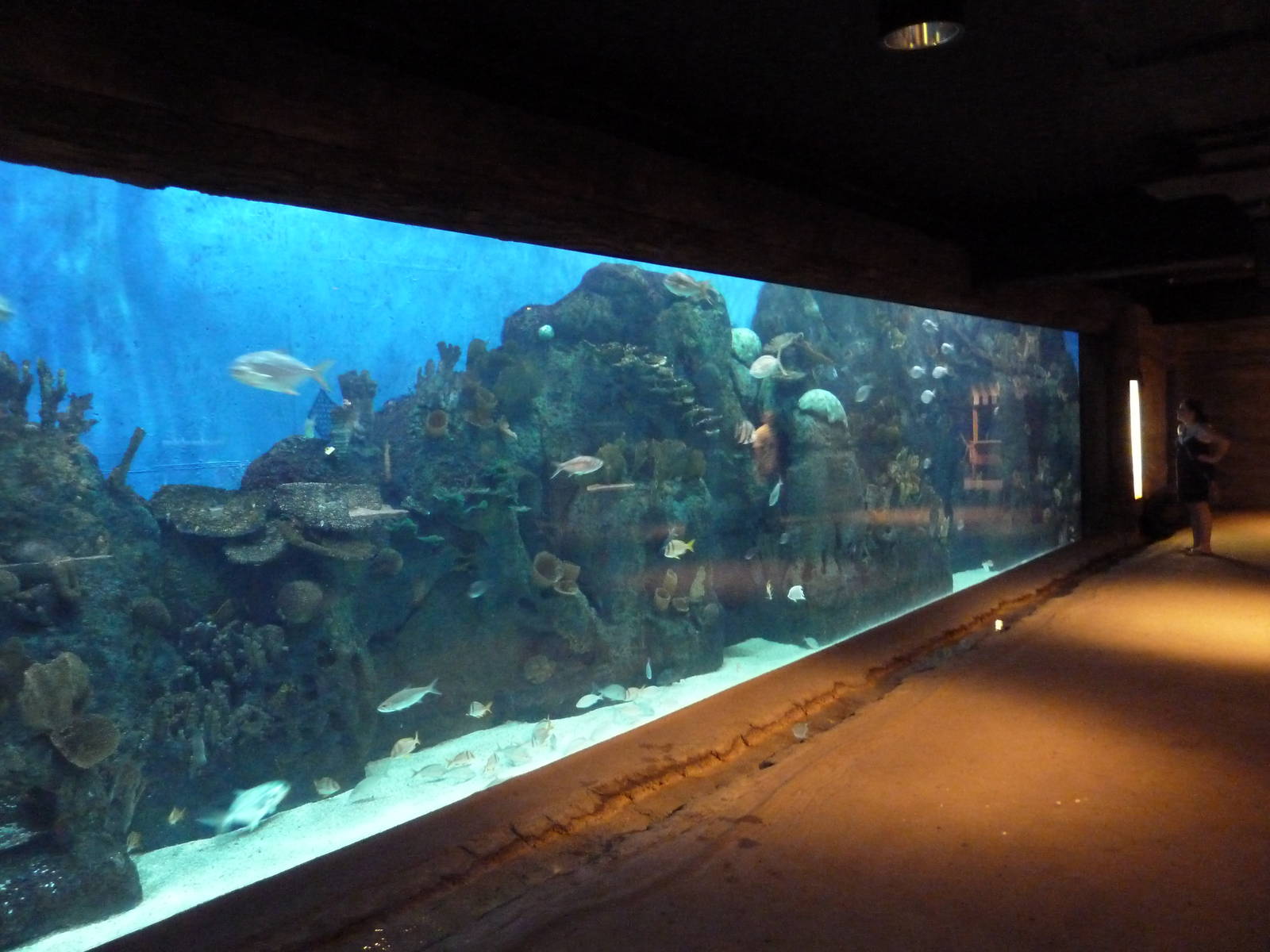 Brazos River Country - Marine Aquarium