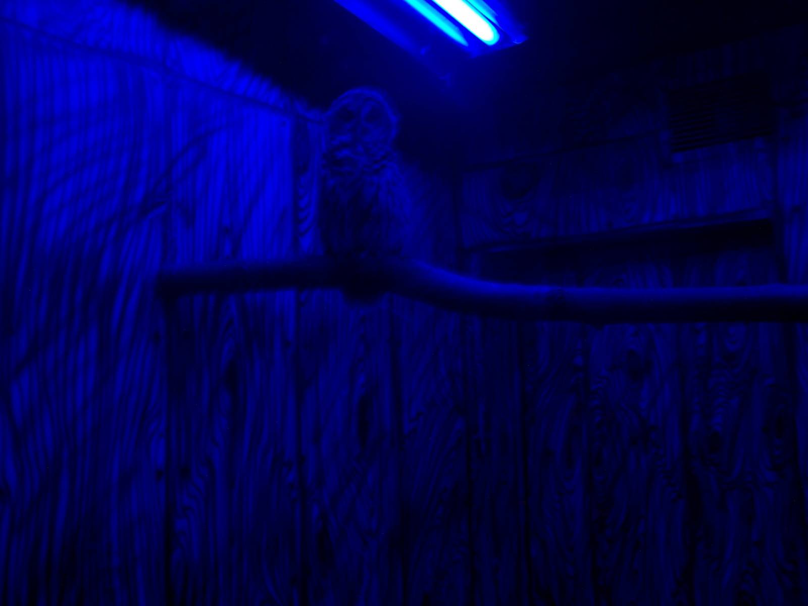 Brazos River Country - Night House