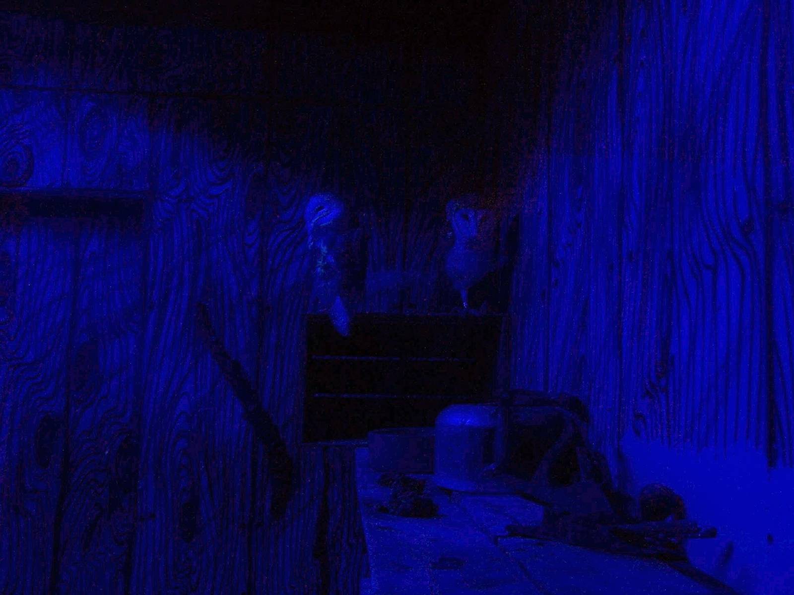 Brazos River Country - Night House