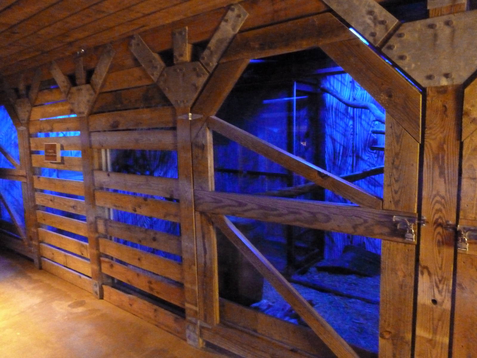 Brazos River Country - Nocturnal House