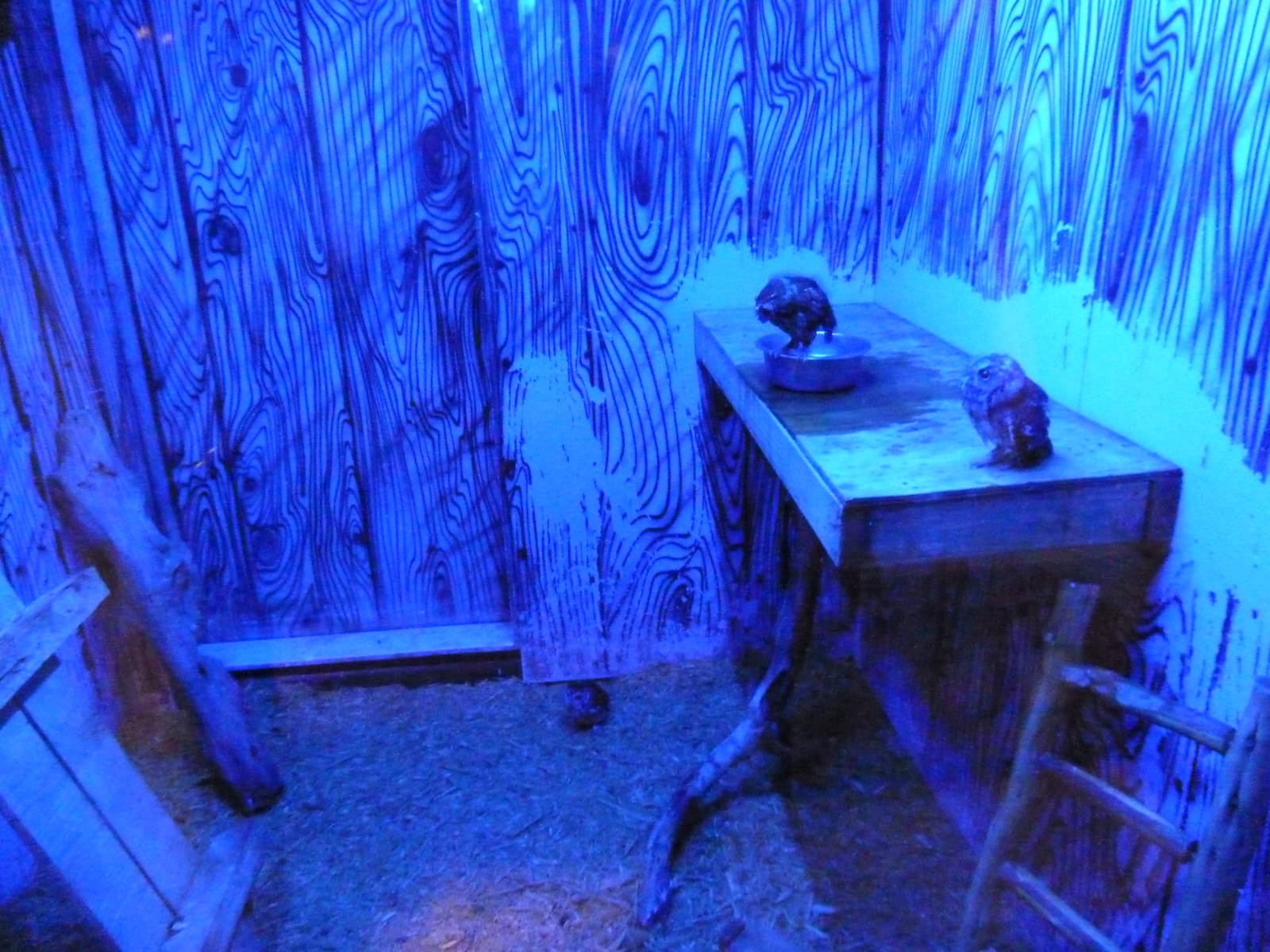 Brazos River Country - Nocturnal House