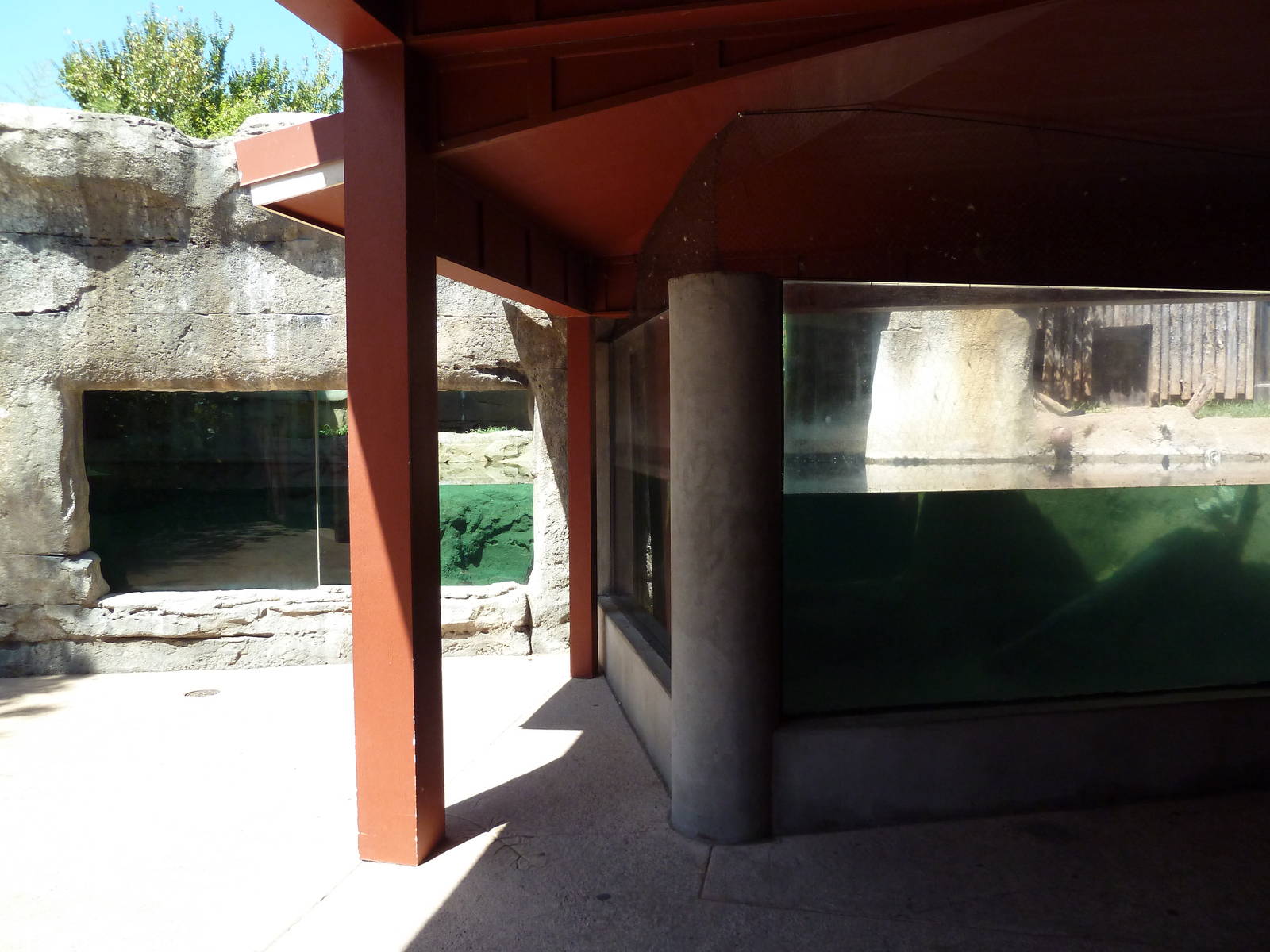 Brazos River Country - River Otter Exhibit