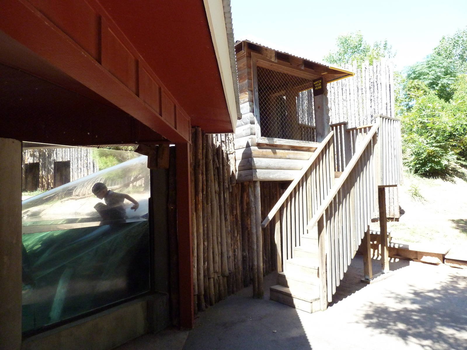 Brazos River Country - River Otter Exhibit