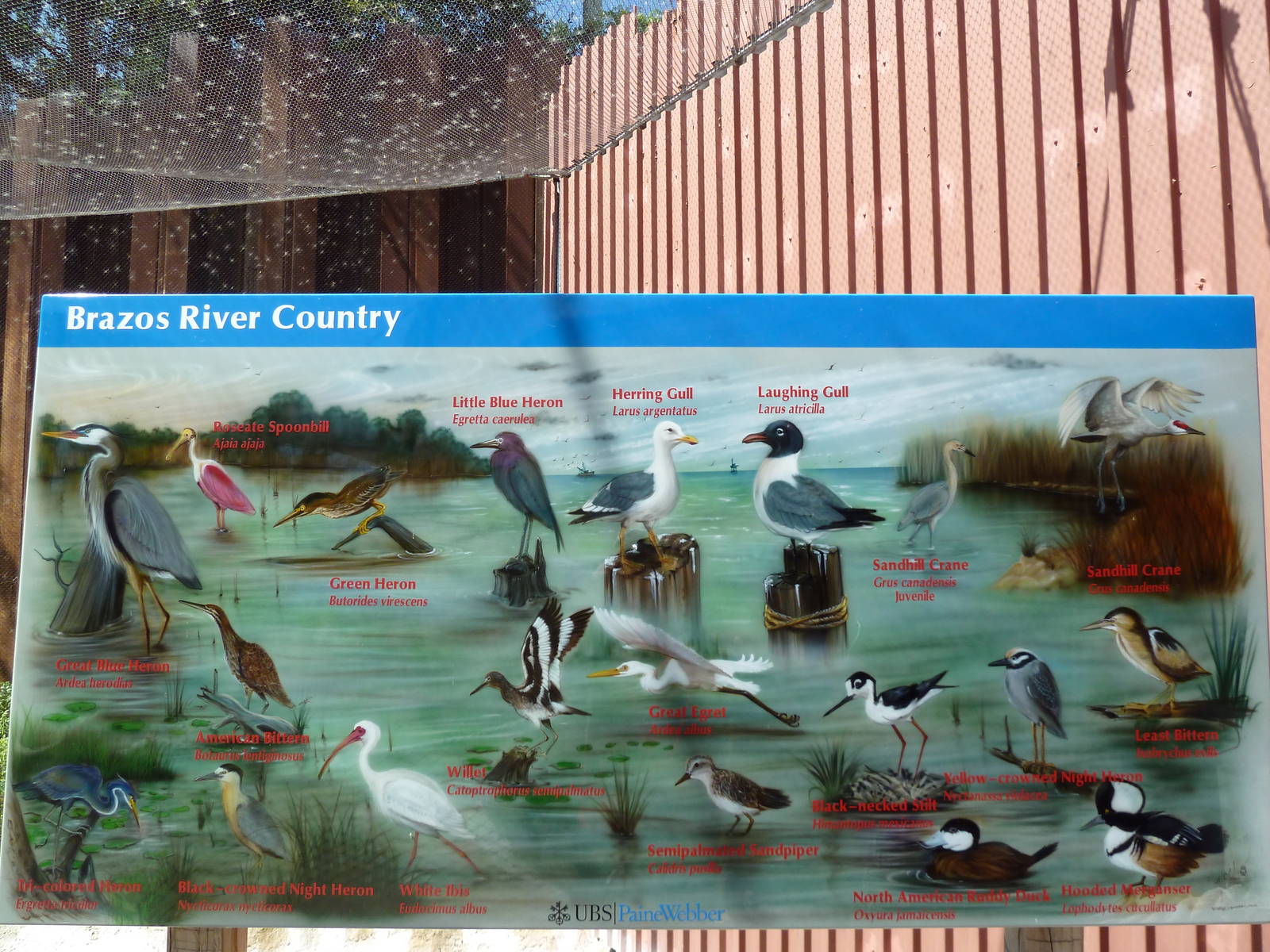 Brazos River Country - Shore Birds Aviary Sign