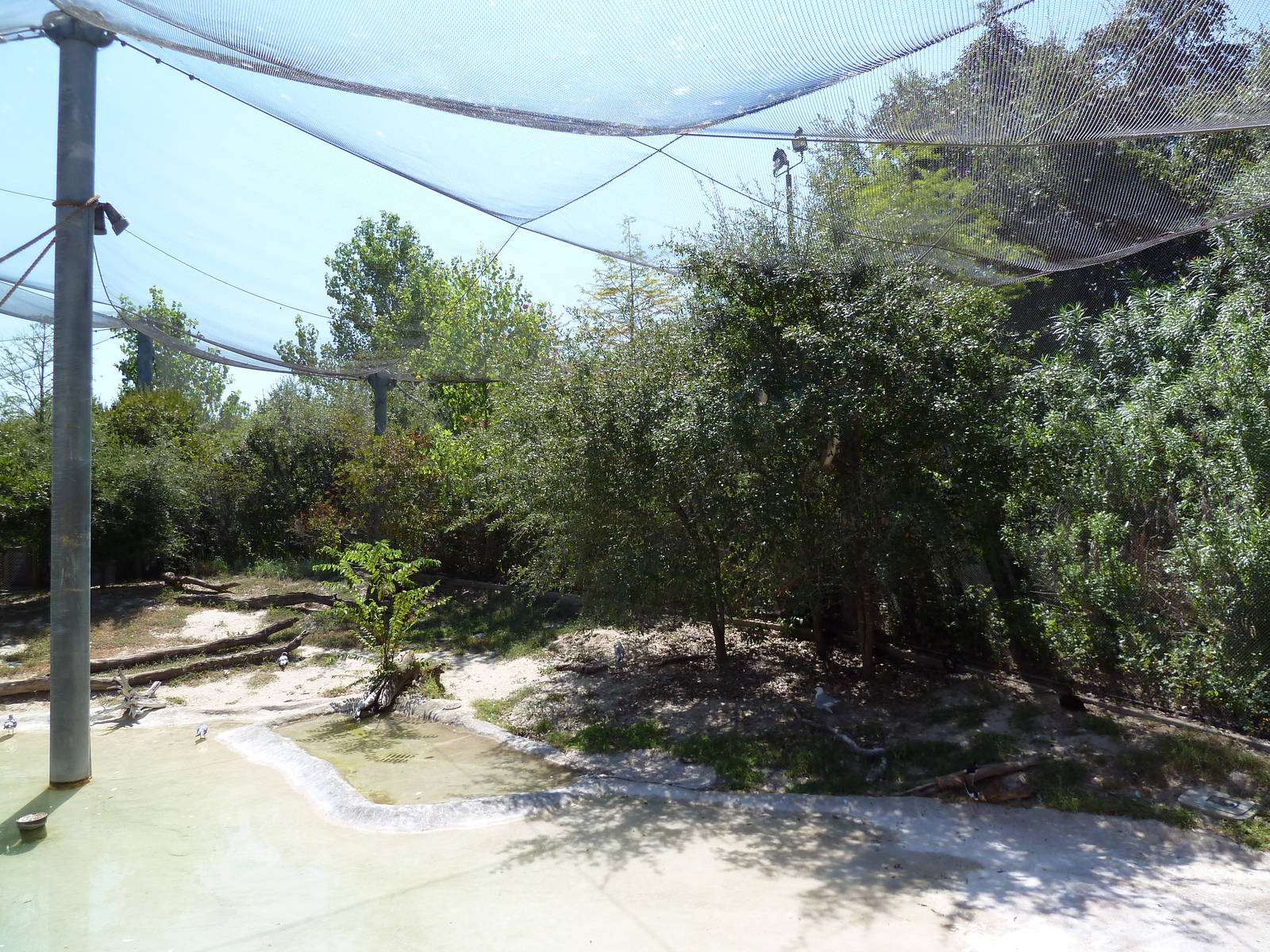Brazos River Country - Shore Birds Aviary