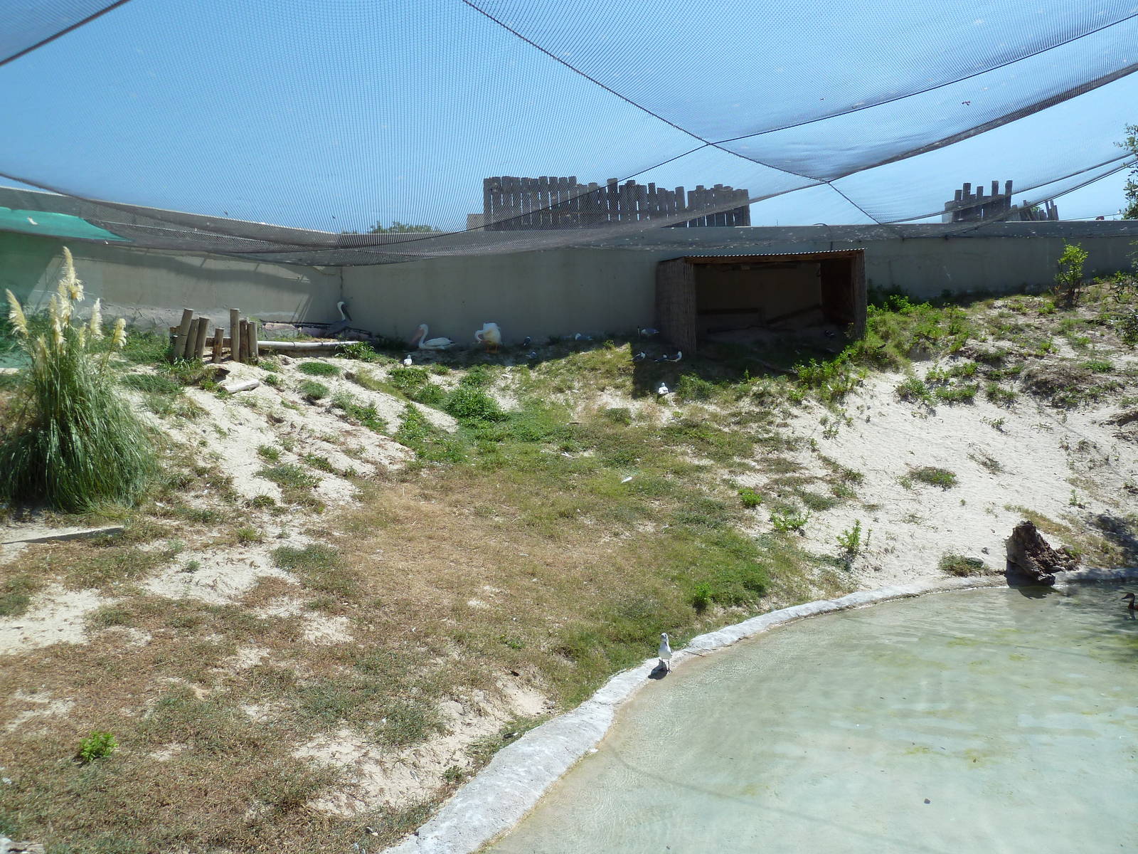 Brazos River Country - Shore Birds Aviary