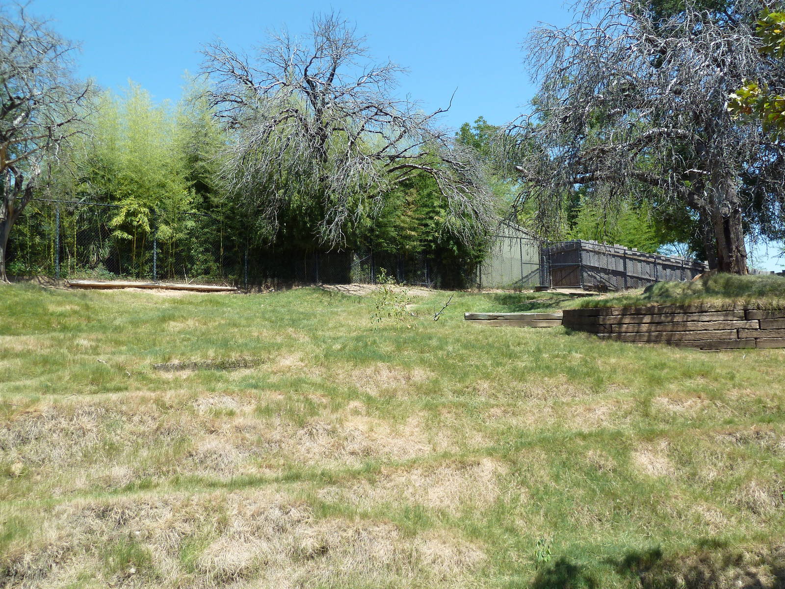 Brazos River Country - White-Tailed Deer/Wild Turkey Exhibit