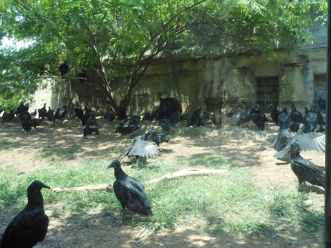 Brazos River Country