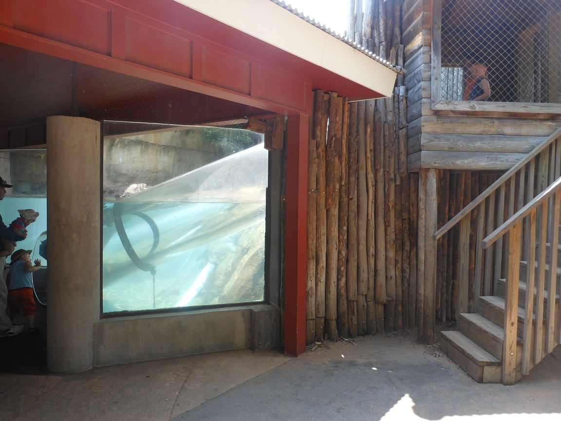 Brazos River Country