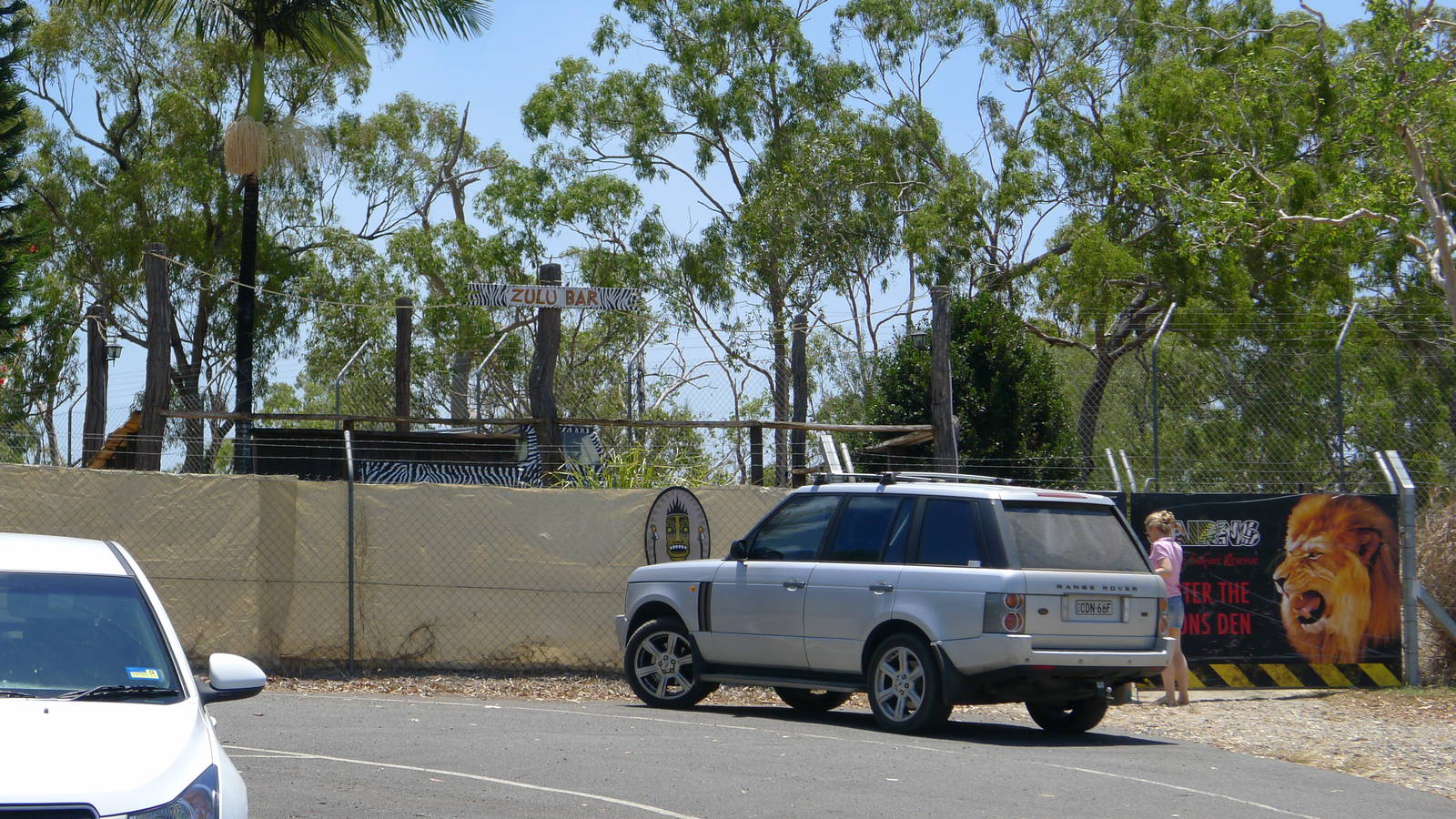 Breakfast with the Beasts (lions)