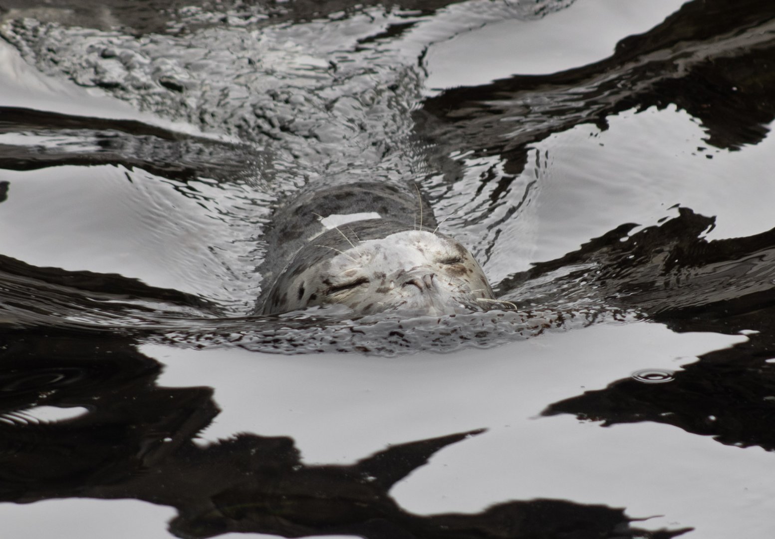 Breaking the surface