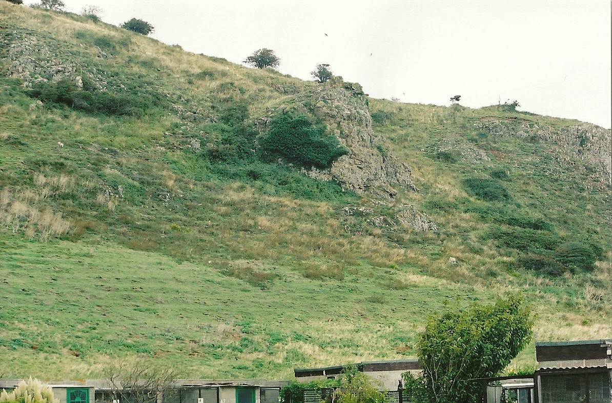 Brean Down rises above the bird garden, 5th September 2006