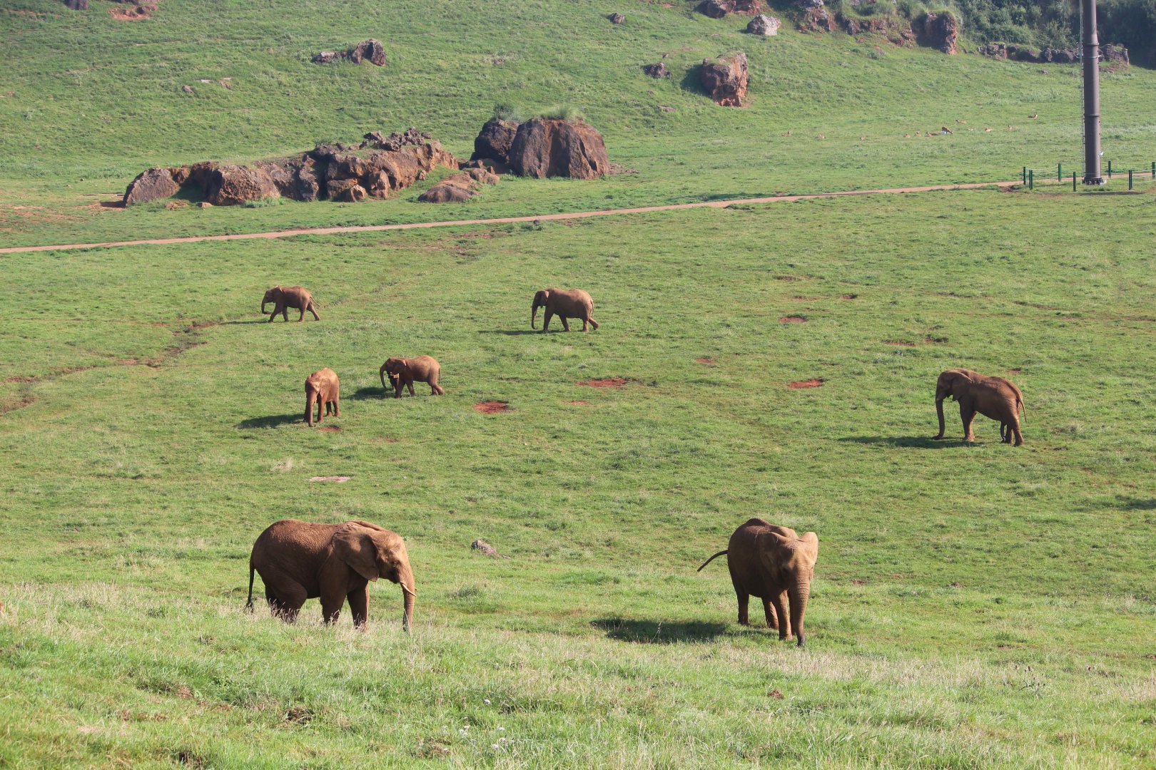 Breathtaking Elephant exhibit