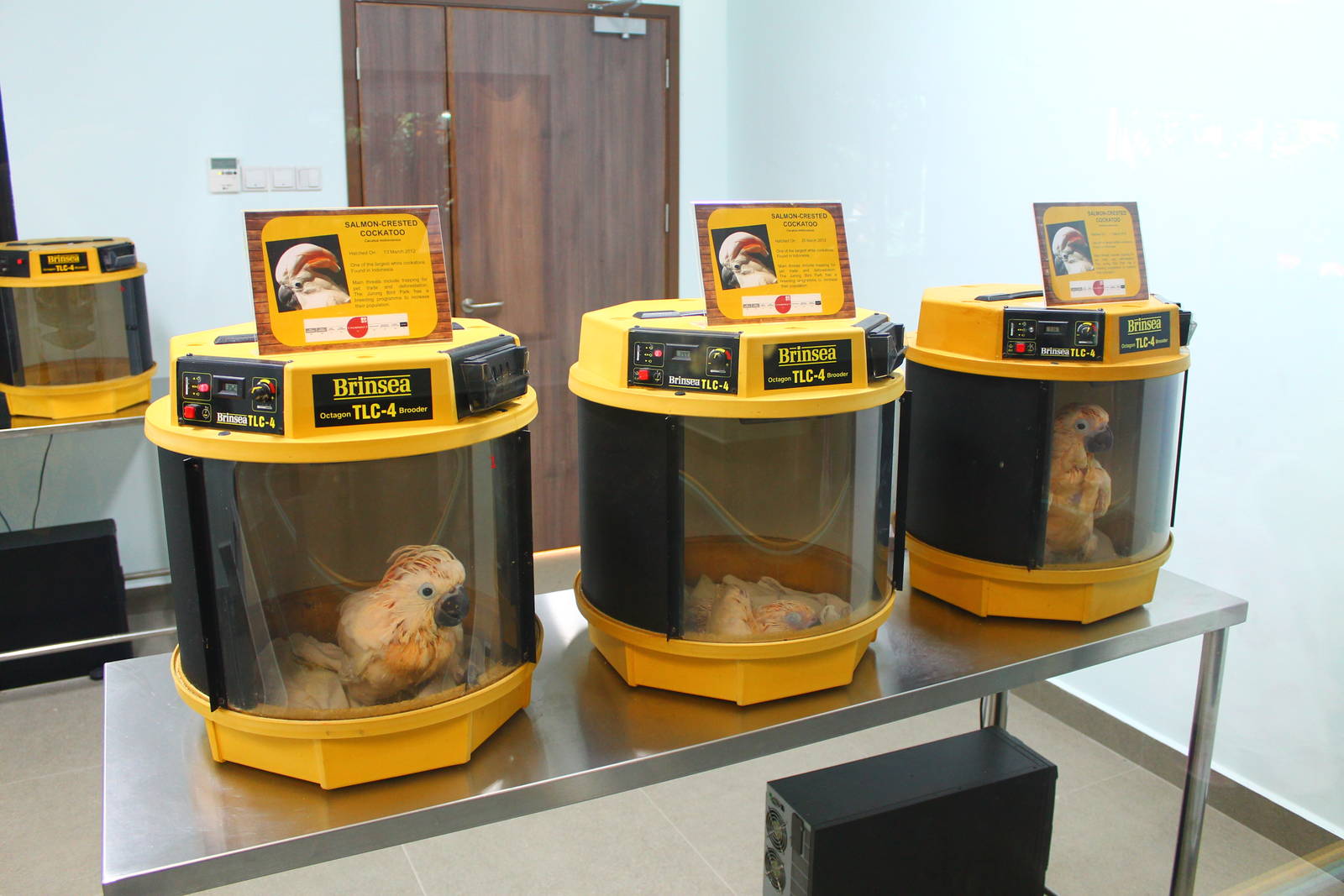 Breeding and Research Centre